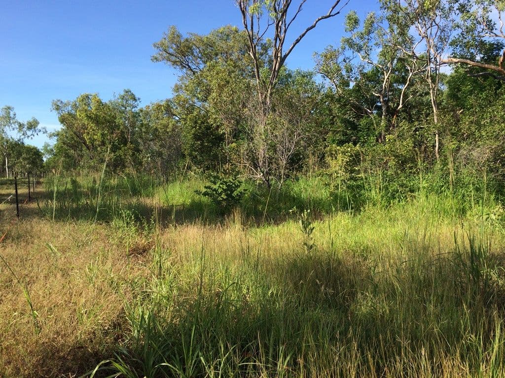 140 Cummings Road, Katherine NT 0850, Katherine - Thumbnail 2