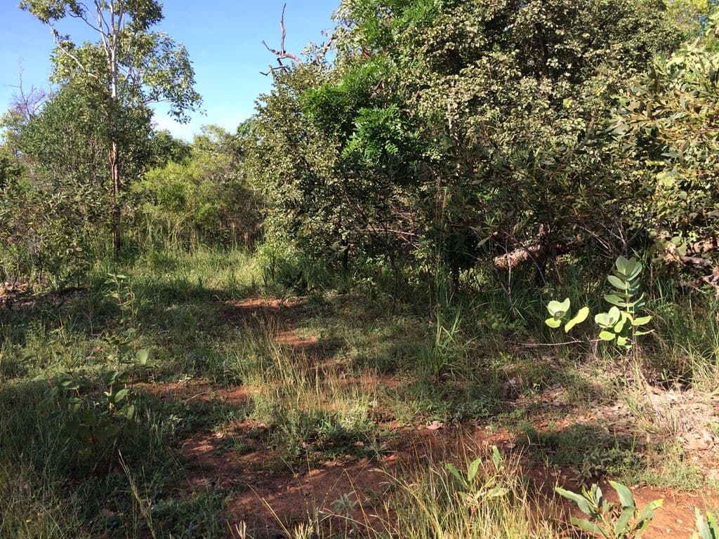 140 Cummings Road, Katherine NT 0850, Katherine - Thumbnail 4