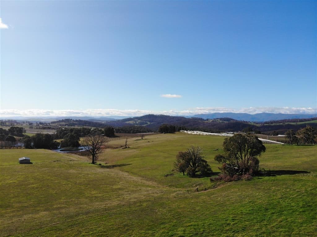 106 Old Tumbarumba Road, Batlow NSW 2730, Batlow - Image 1