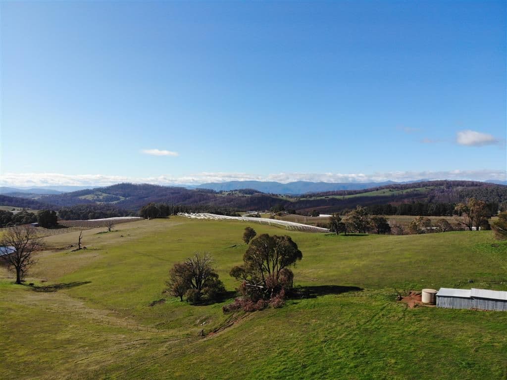 106 Old Tumbarumba Road, Batlow NSW 2730, Batlow - Thumbnail 2