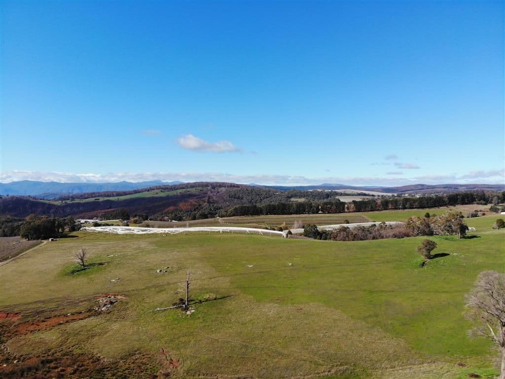 106 Old Tumbarumba Road, Batlow NSW 2730, Batlow - Thumbnail 3