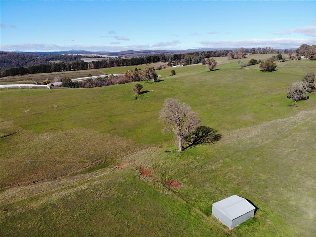 106 Old Tumbarumba Road, Batlow NSW 2730, Batlow - Thumbnail 5