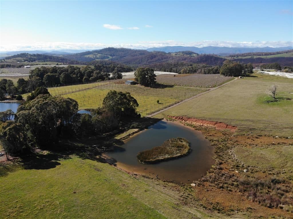 106 Old Tumbarumba Road, Batlow NSW 2730, Batlow - Thumbnail 6