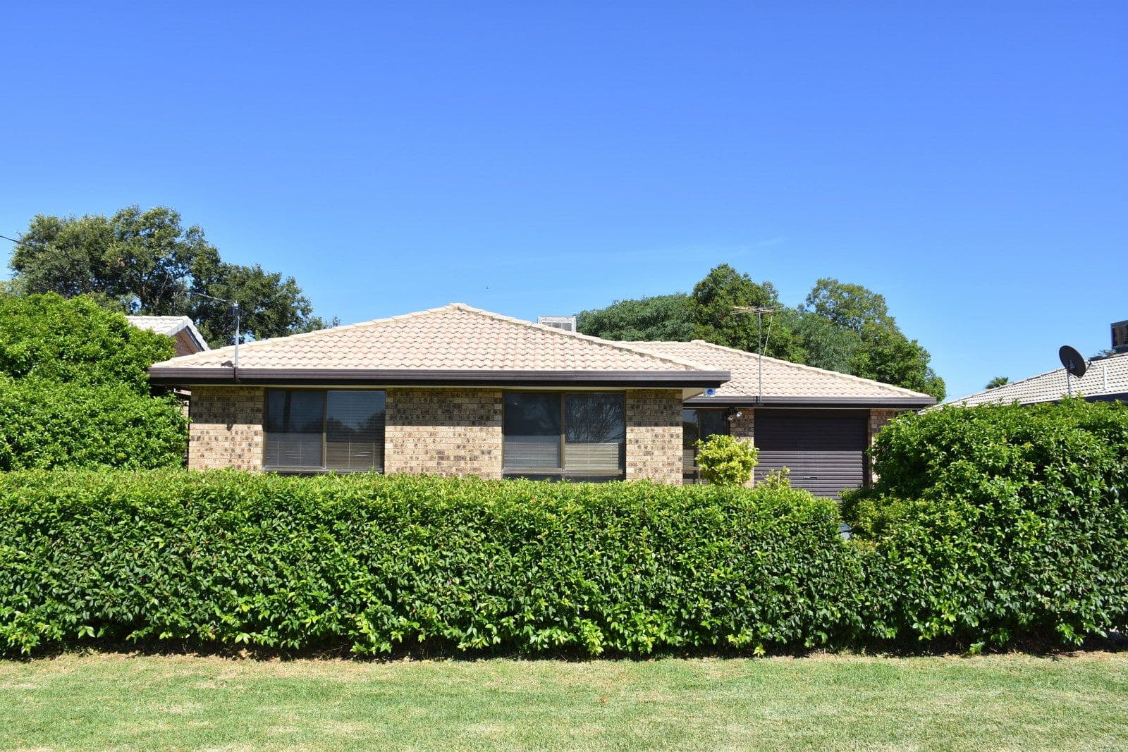 53 Brigalow Drive, Moree NSW 2400, Moree - Thumbnail 2