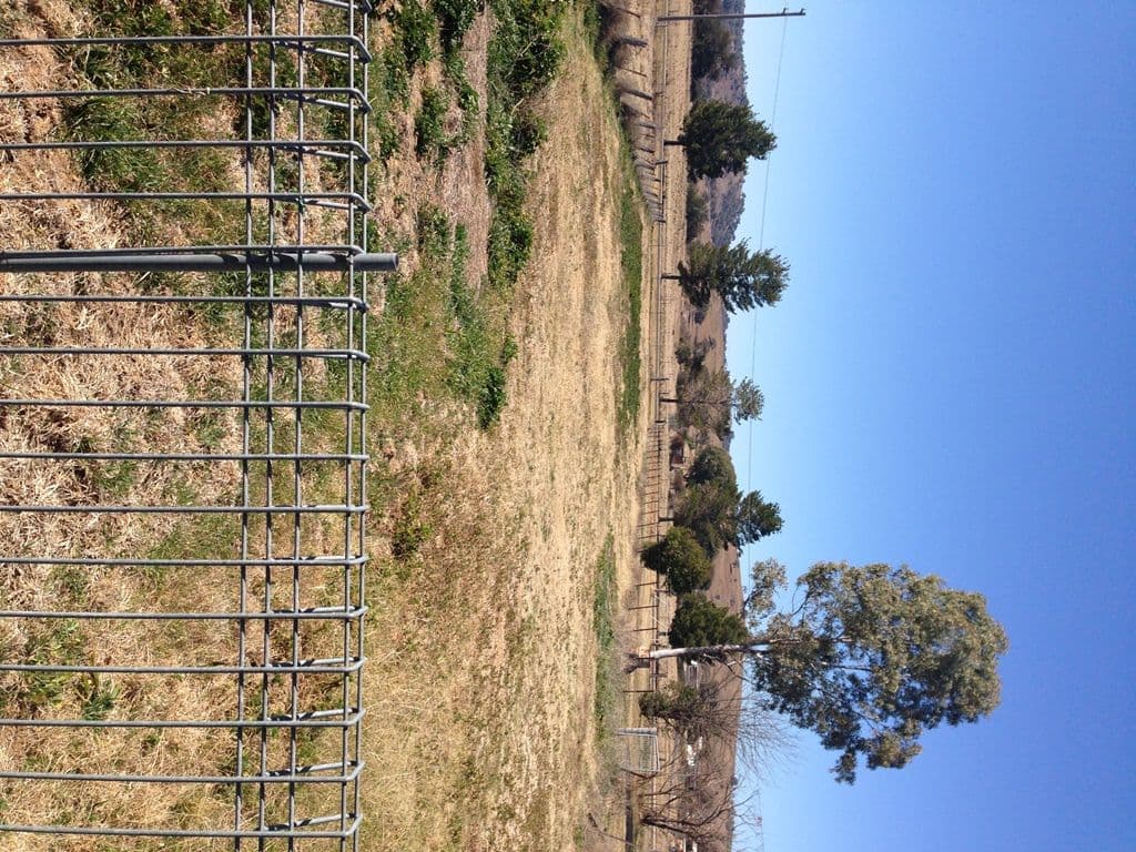 10 Queen Street, Barraba - Thumbnail 8