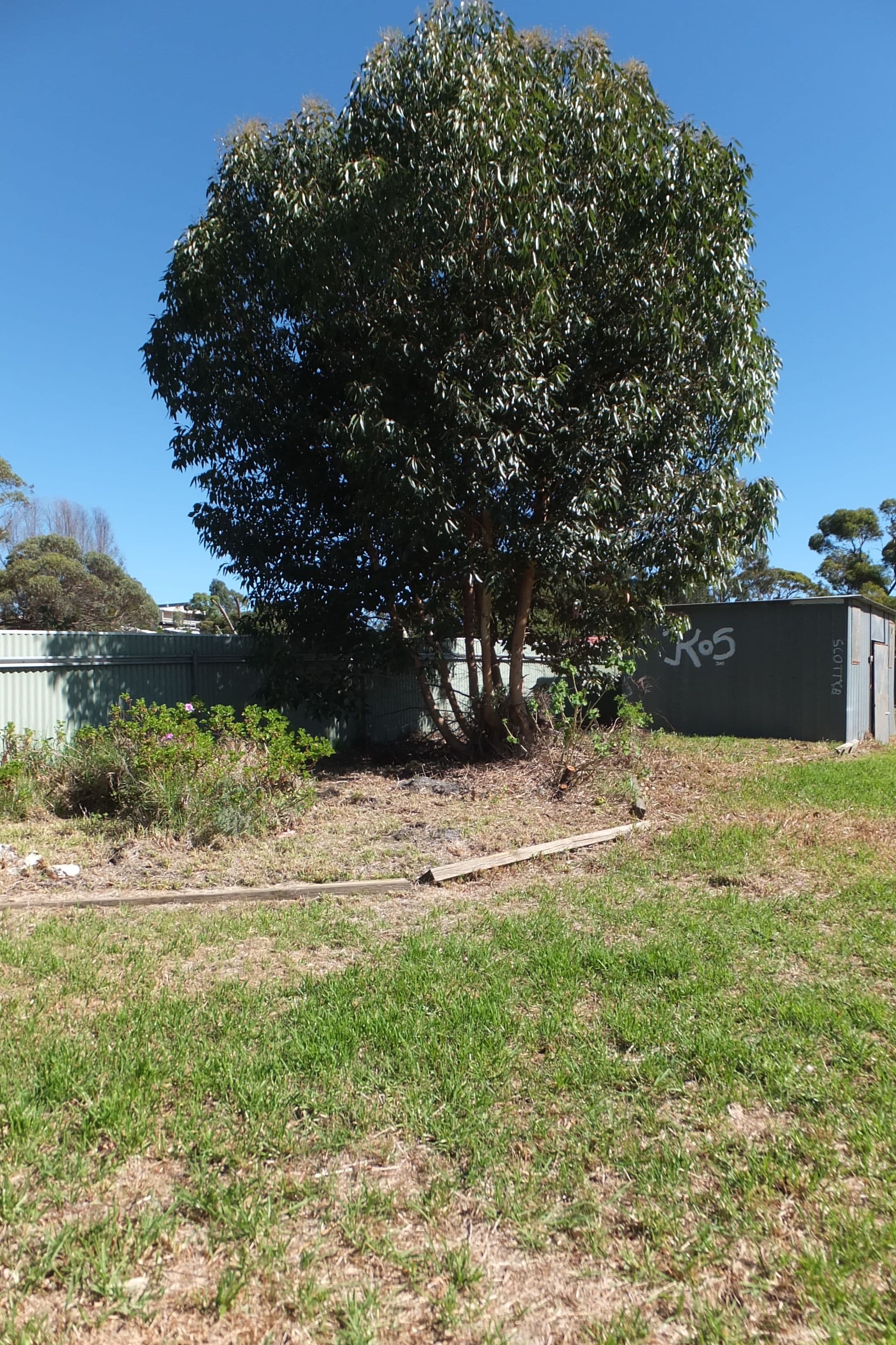 119 Martin Street, Ravensthorpe WA 6346, Ravensthorpe - Thumbnail 4