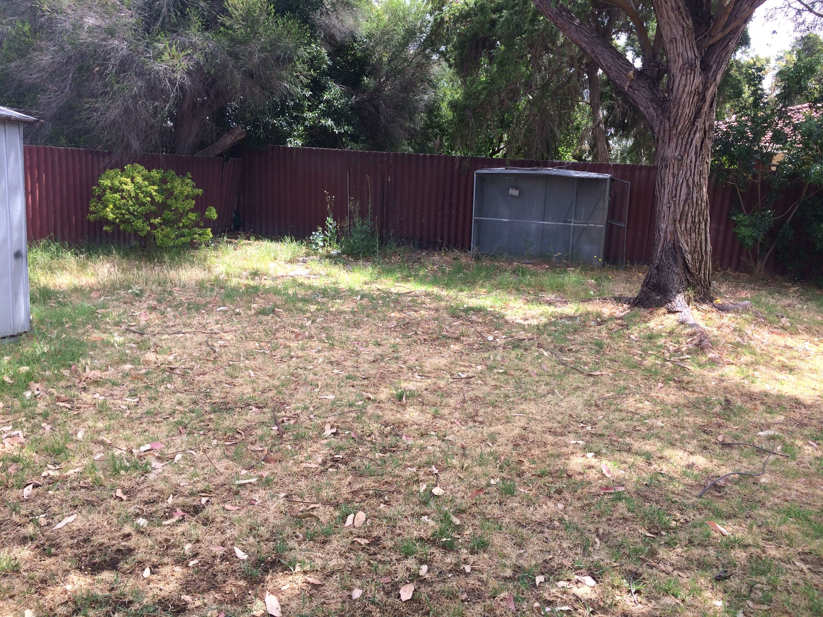 20 Sandalwood Street, Maddington WA 6109, Maddington - Thumbnail 8