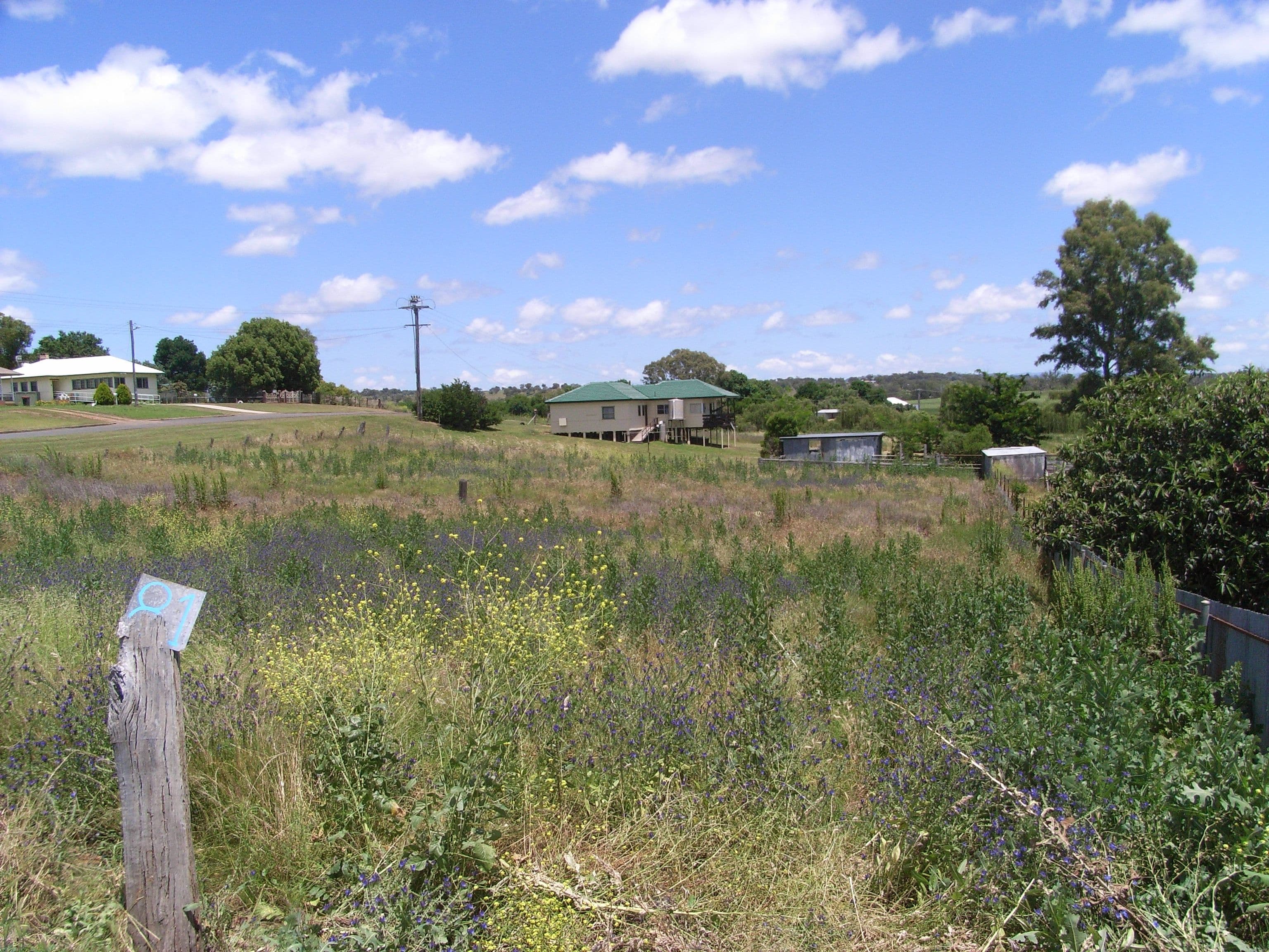 81 Fitzroy Street, BARRABA NSW 2347, Barraba - Image 1