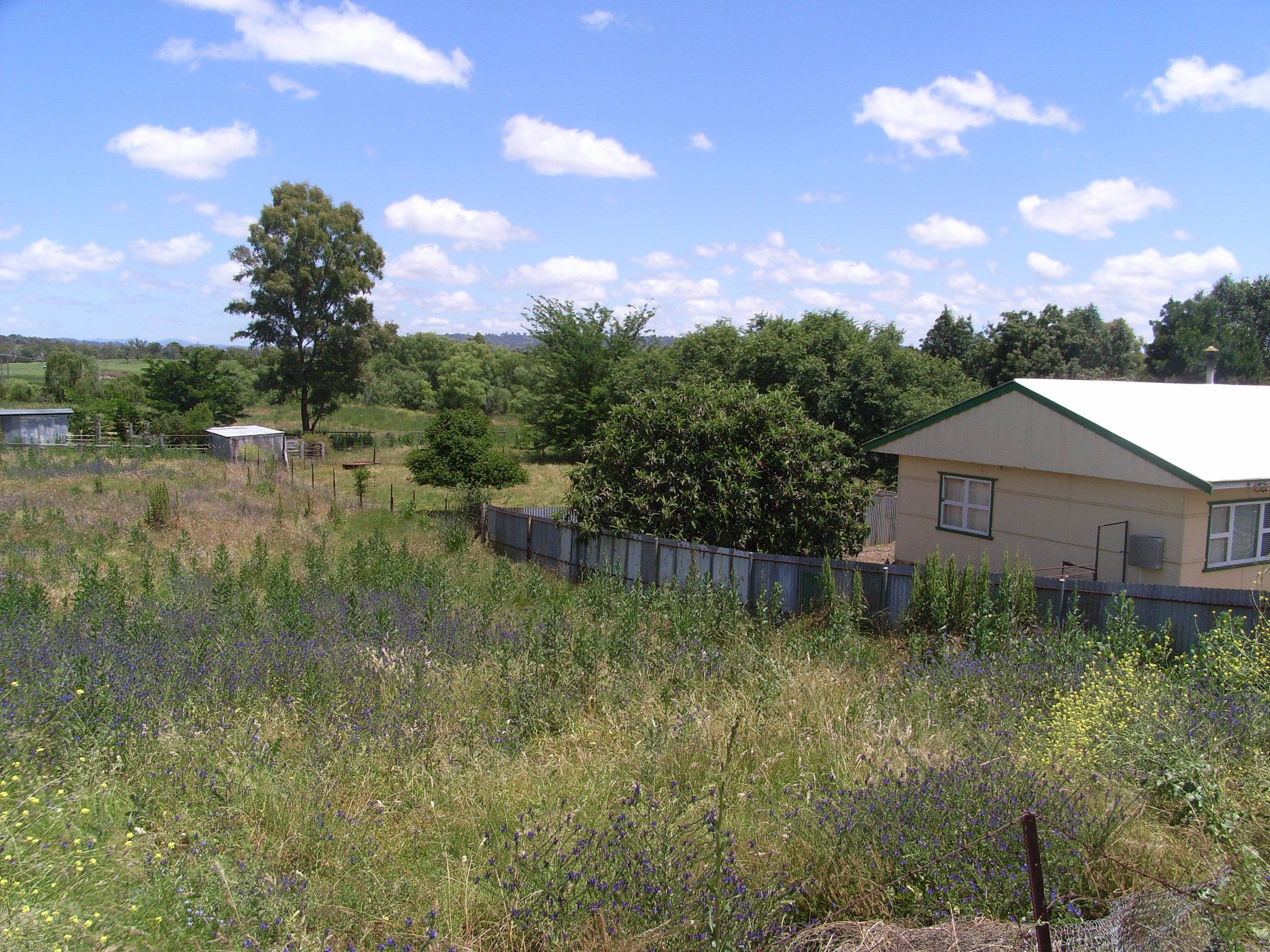 81 Fitzroy Street, BARRABA NSW 2347, Barraba - Thumbnail 2
