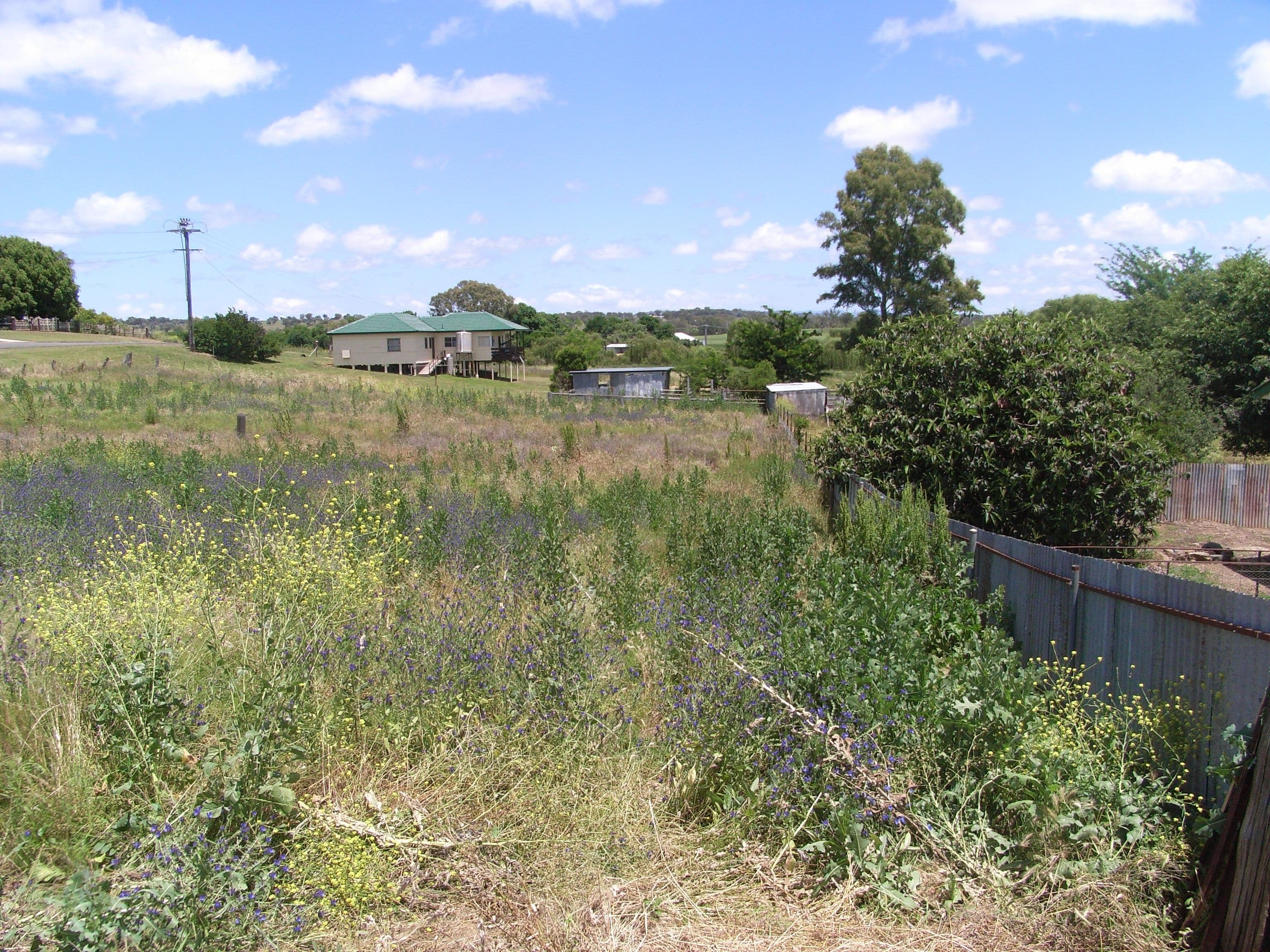 81 Fitzroy Street, BARRABA NSW 2347, Barraba - Thumbnail 4
