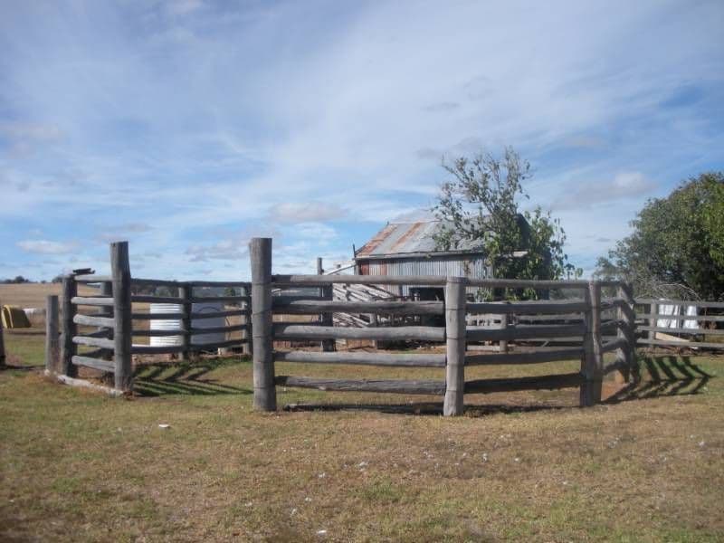 1490 Paradise Road, INVERELL NSW 2360, Inverell - Thumbnail 6