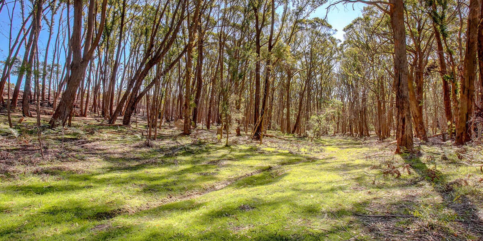226 Warrima Drive Tallong, Tallong - Thumbnail 2