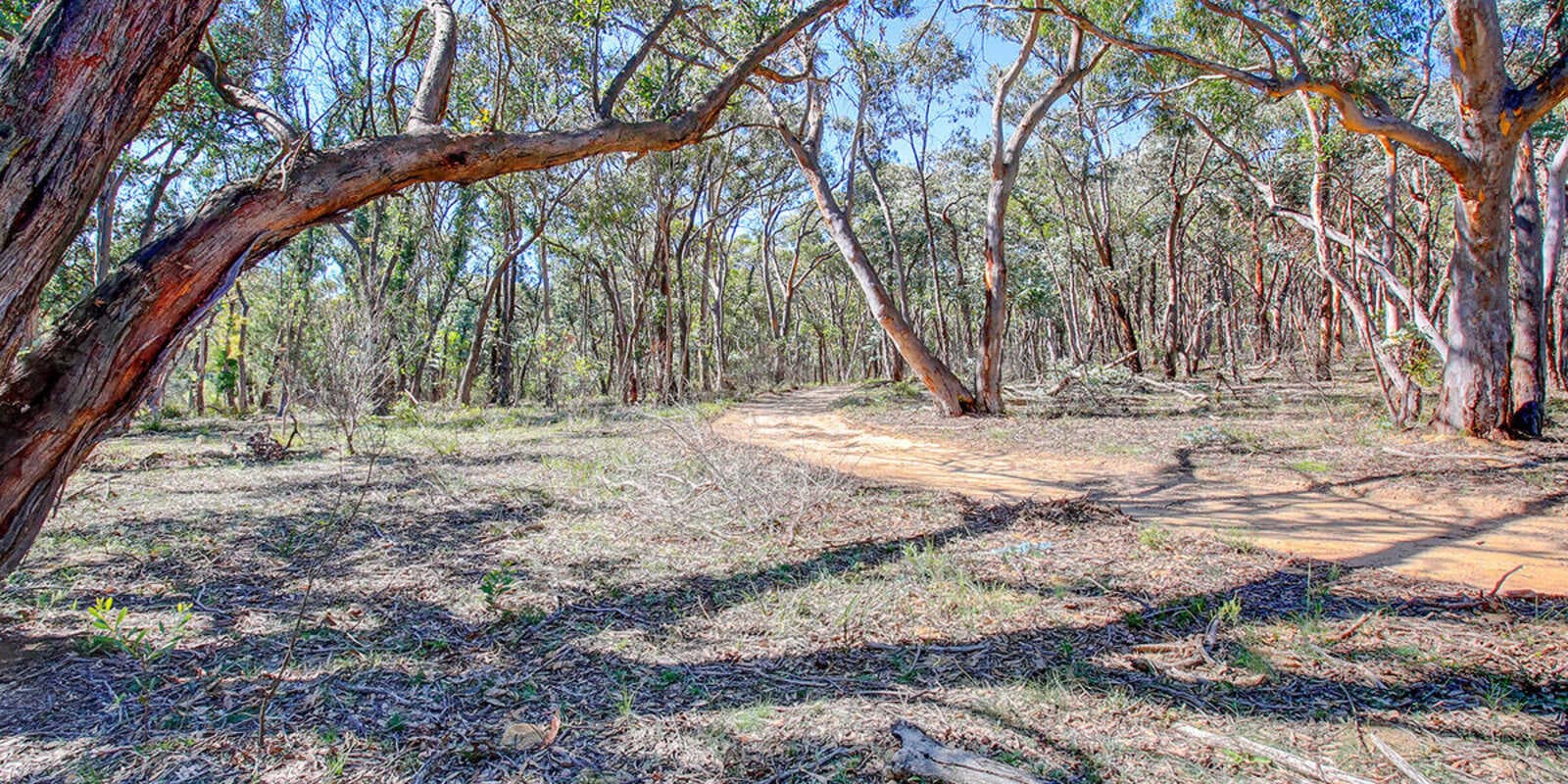 226 Warrima Drive Tallong, Tallong - Thumbnail 5