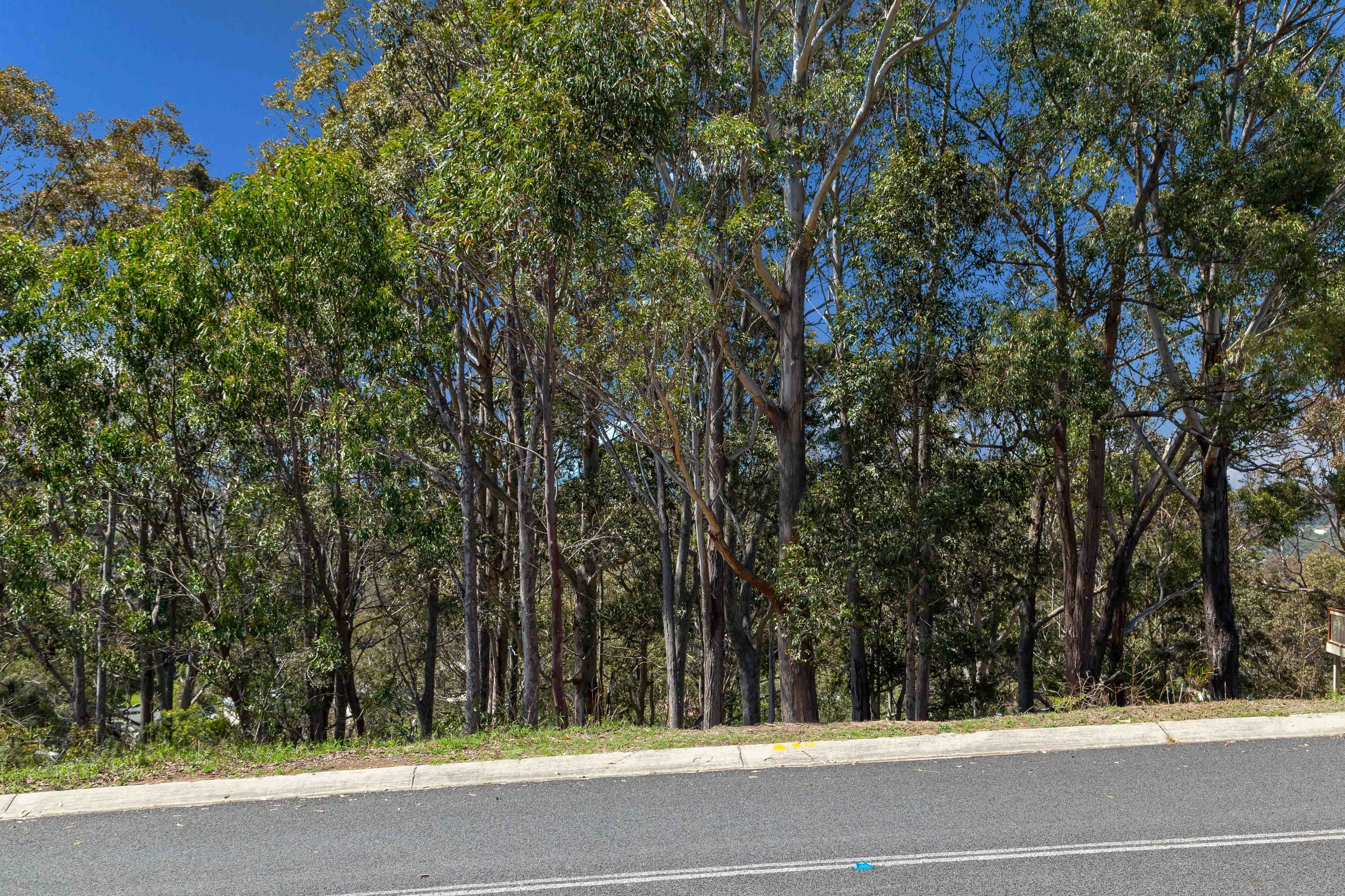 93 Vista Avenue, Catalina NSW 2536, Catalina - Thumbnail 4