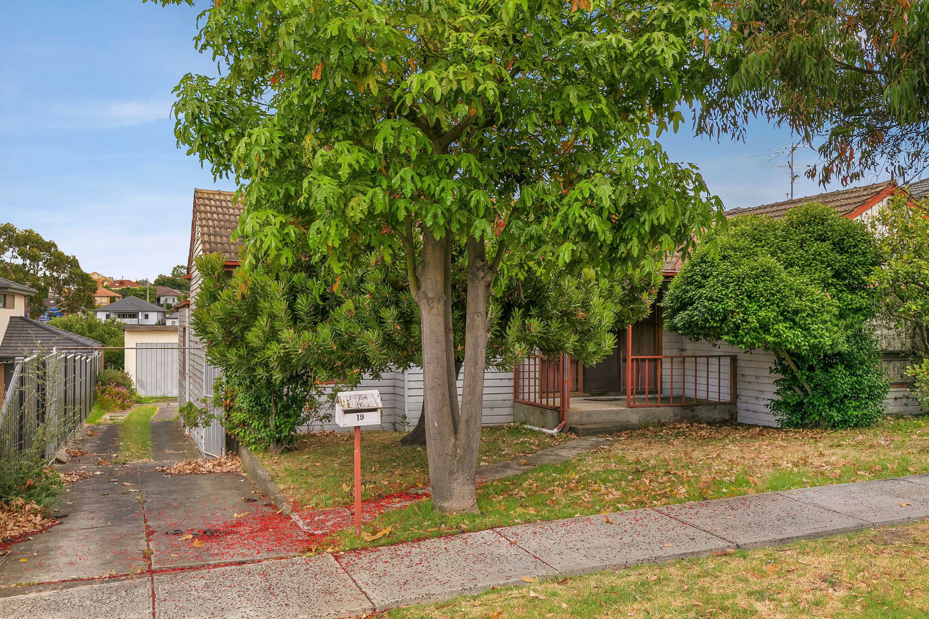 19 Cartwright Street, Oak Park VIC 3046, Oak Park - Thumbnail 2