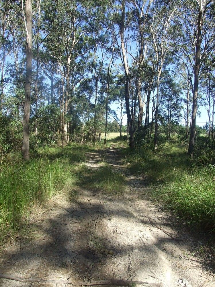 Lot 3 Pierce Creek Road, CROWS NEST QLD 4355, Crows Nest - Thumbnail 3