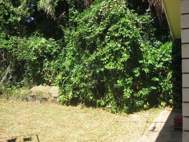 7 Monomeeth Street, BUDERIM QLD 4556, Buderim - Thumbnail 8