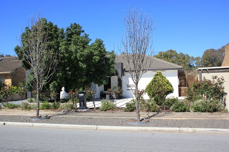 7 Beatty Street, FLINDERS PARK SA 5025, Flinders Park - Thumbnail 2