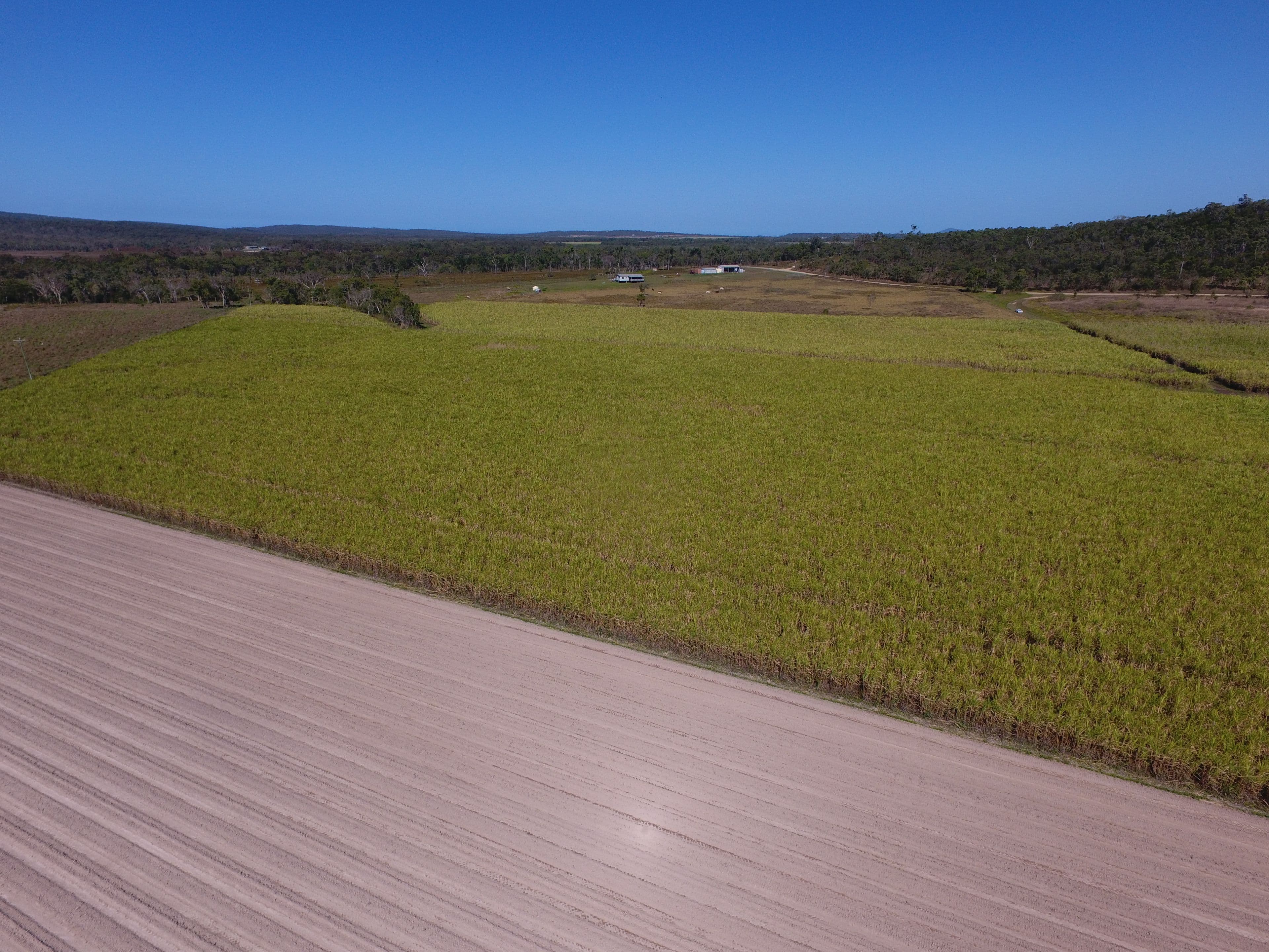 193 Riley Road, Koumala QLD 4738, Koumala - Thumbnail 2