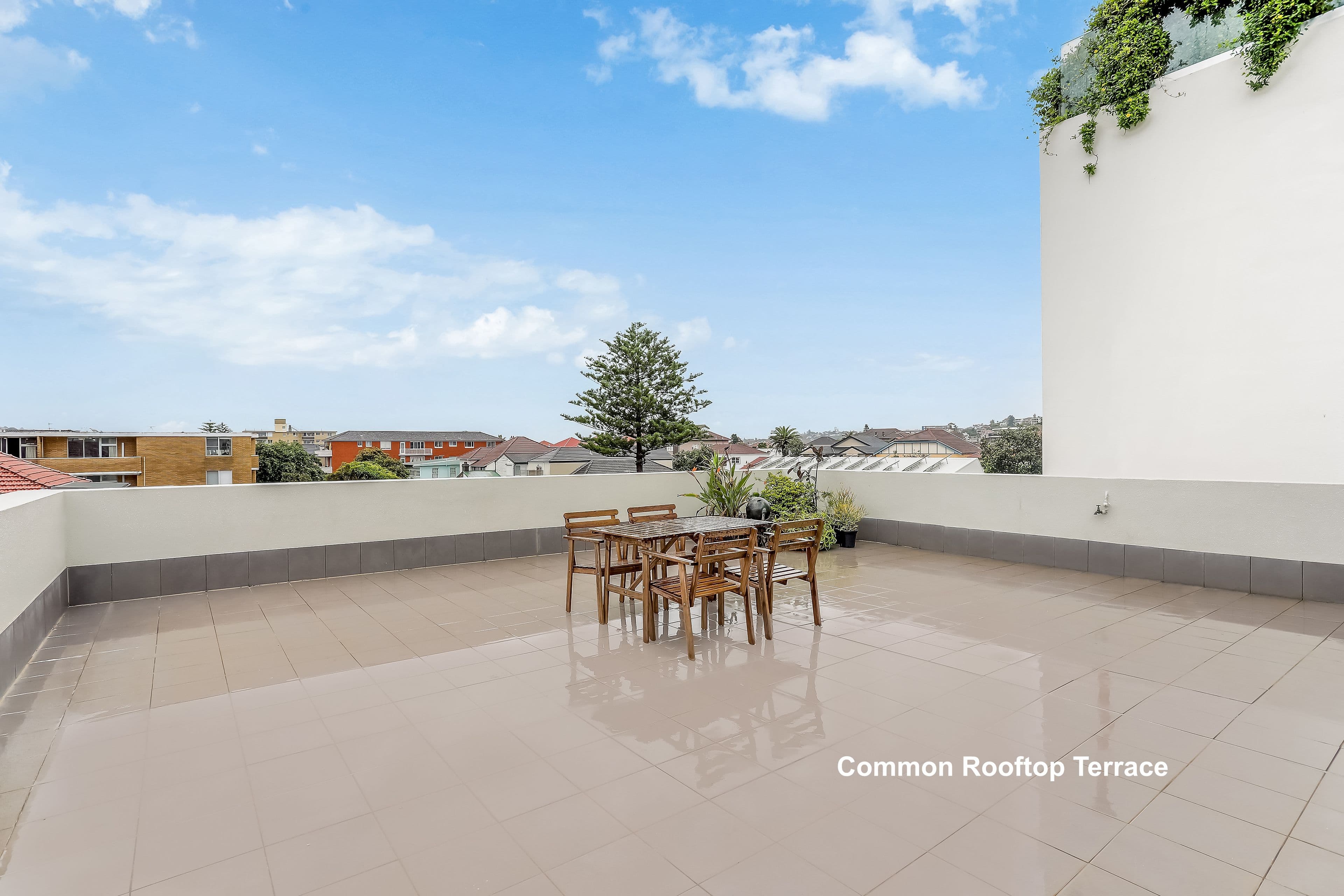 68 Gould Street, Bondi Beach NSW 2026, Bondi Beach - Thumbnail 8