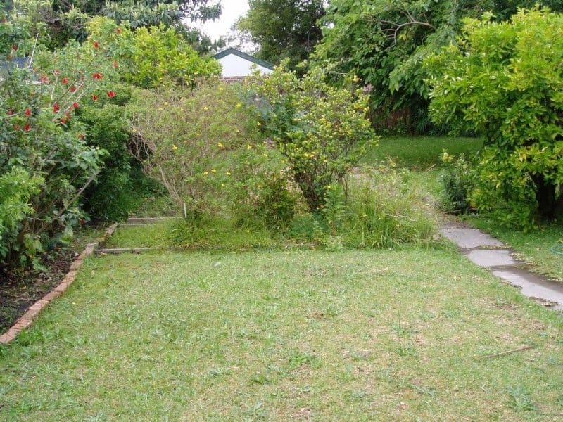 92 Hay Street, ASHBURY NSW 2193, Ashbury - Thumbnail 2