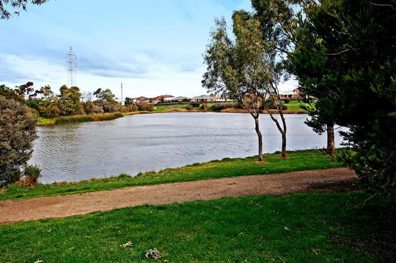 3 Augustine Drive, HIGHTON VIC 3216, Highton - Thumbnail 8