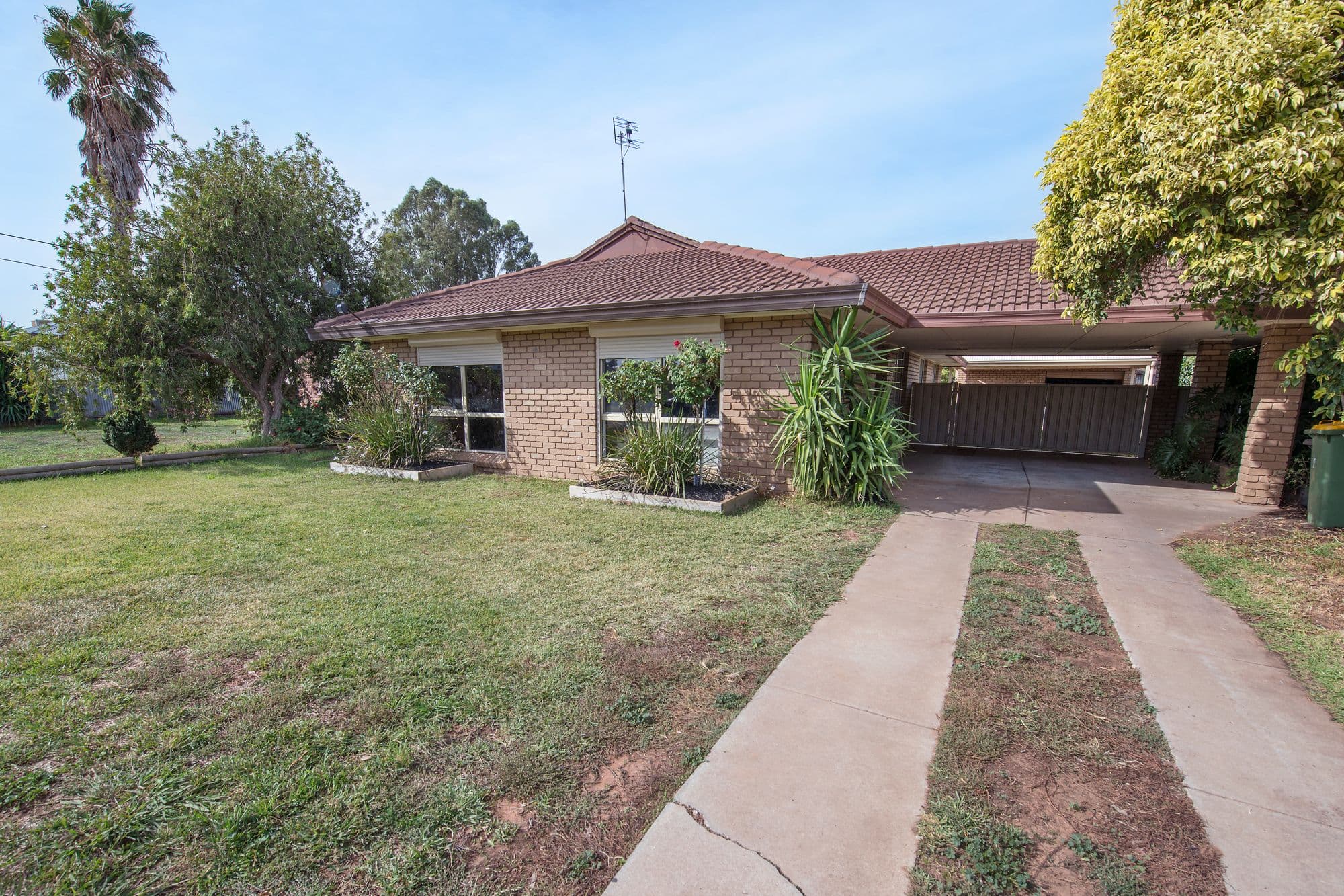19 Douglas Avenue, Swan Hill VIC 3585, Swan Hill - Image 1