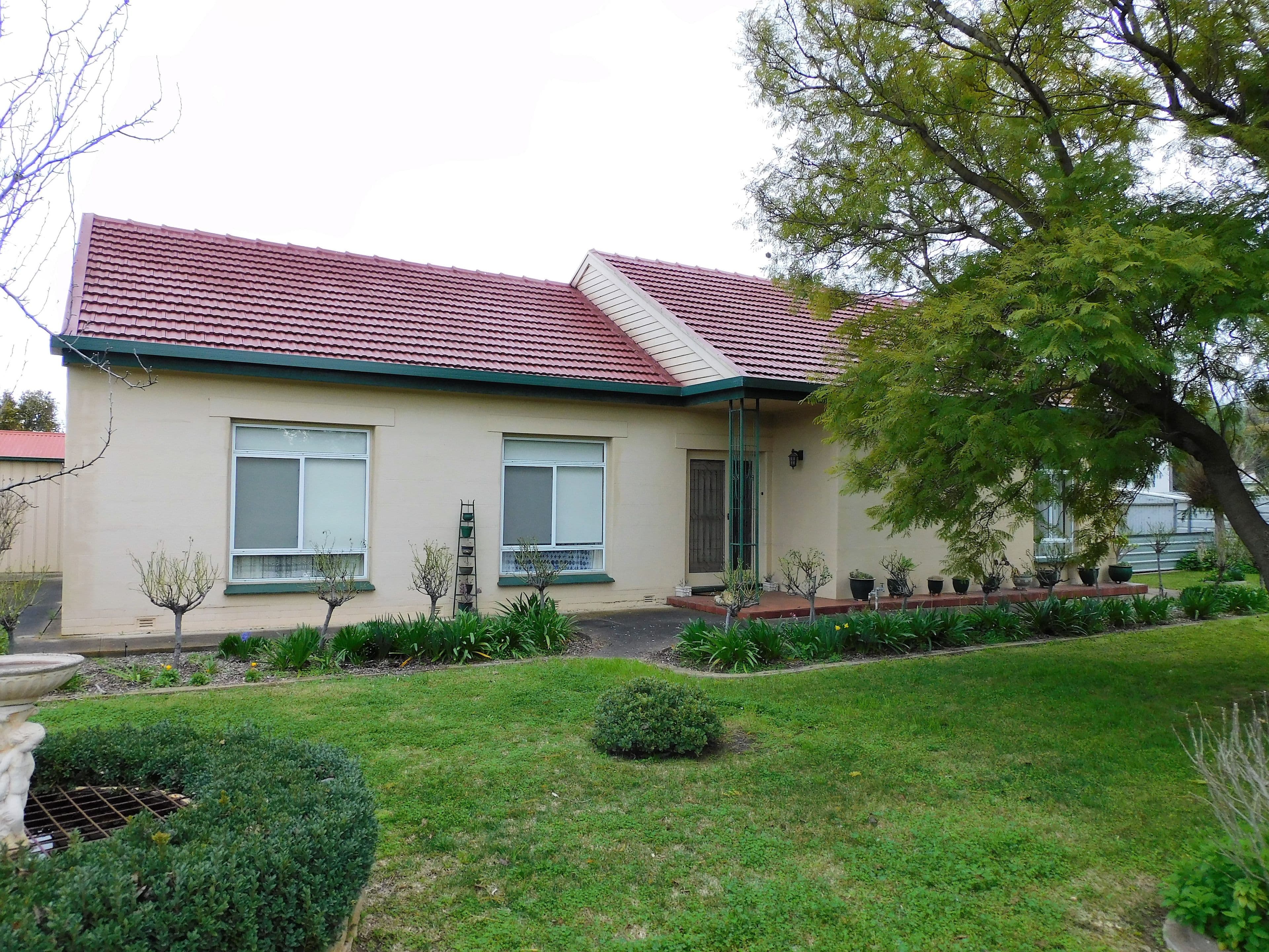 41 East Terrace, Bordertown SA 5268, Bordertown - Image 1