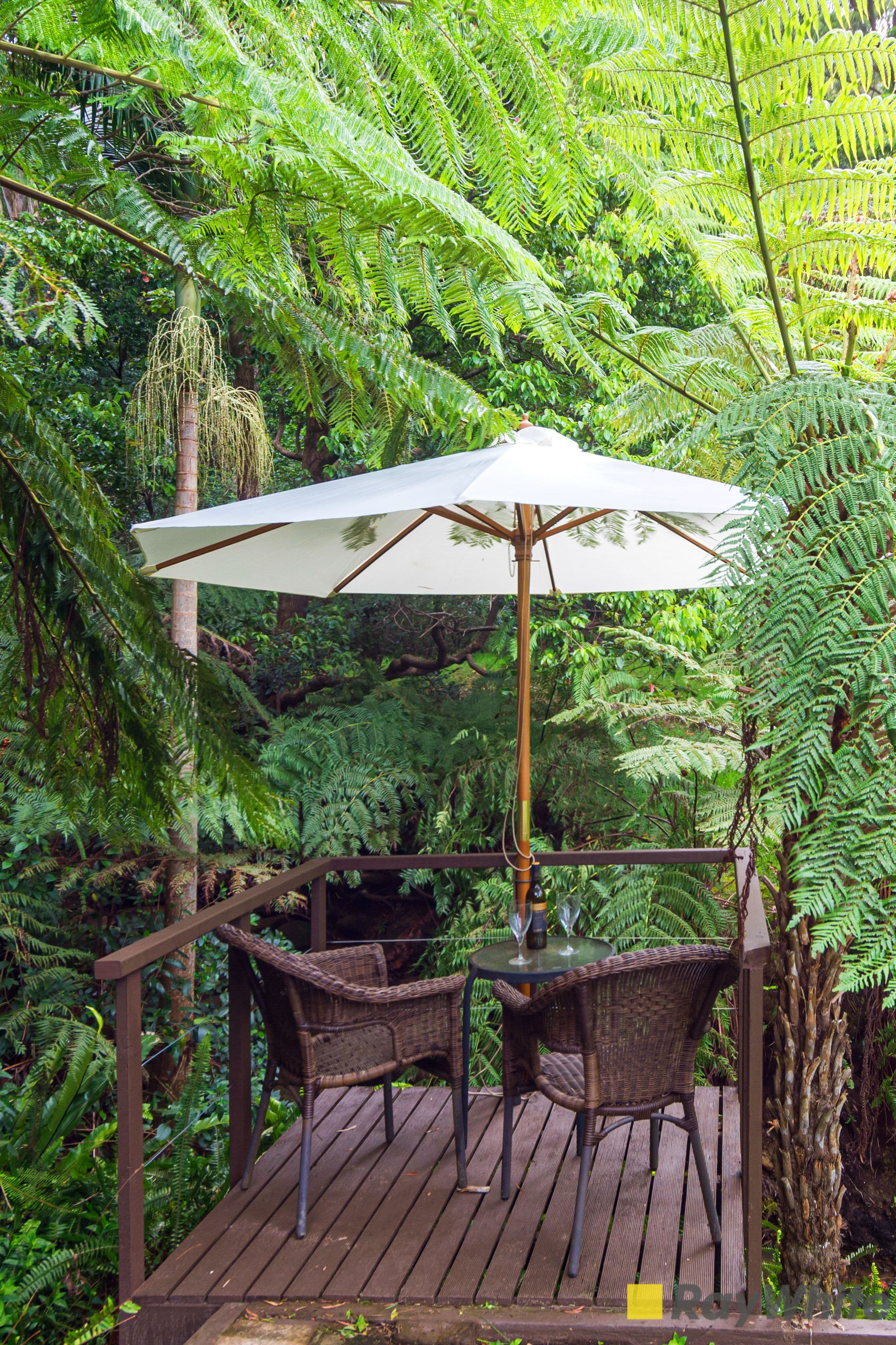 40 Corrie Road, Woonona NSW 2517, Woonona - Thumbnail 7