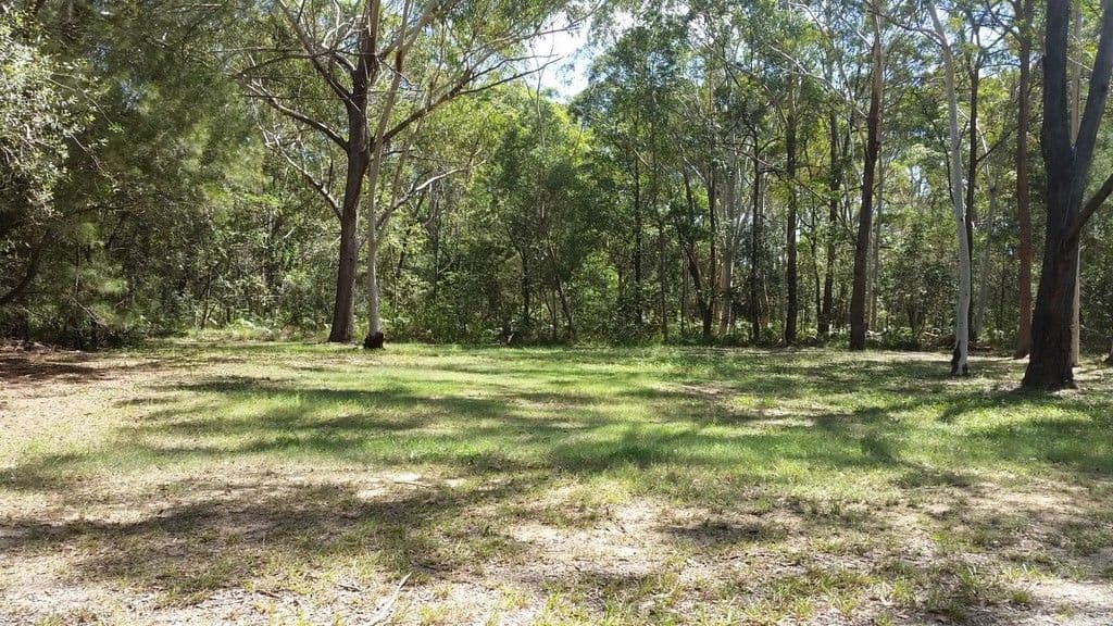22 Bamberry Street, Russell Island QLD 4184, Russell Island - Image 1