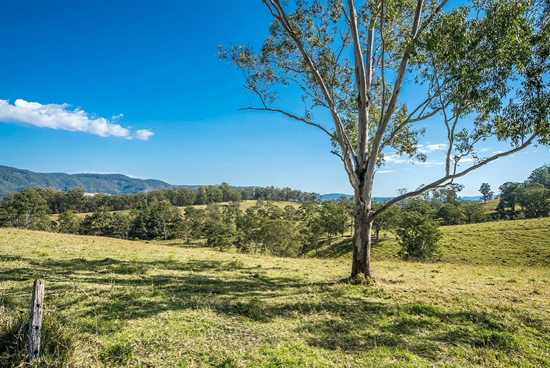 85 EJ Olley Road, Larnook - Thumbnail 4