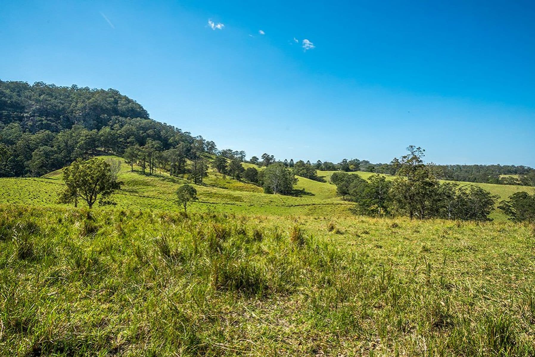 85 EJ Olley Road, Larnook - Thumbnail 5