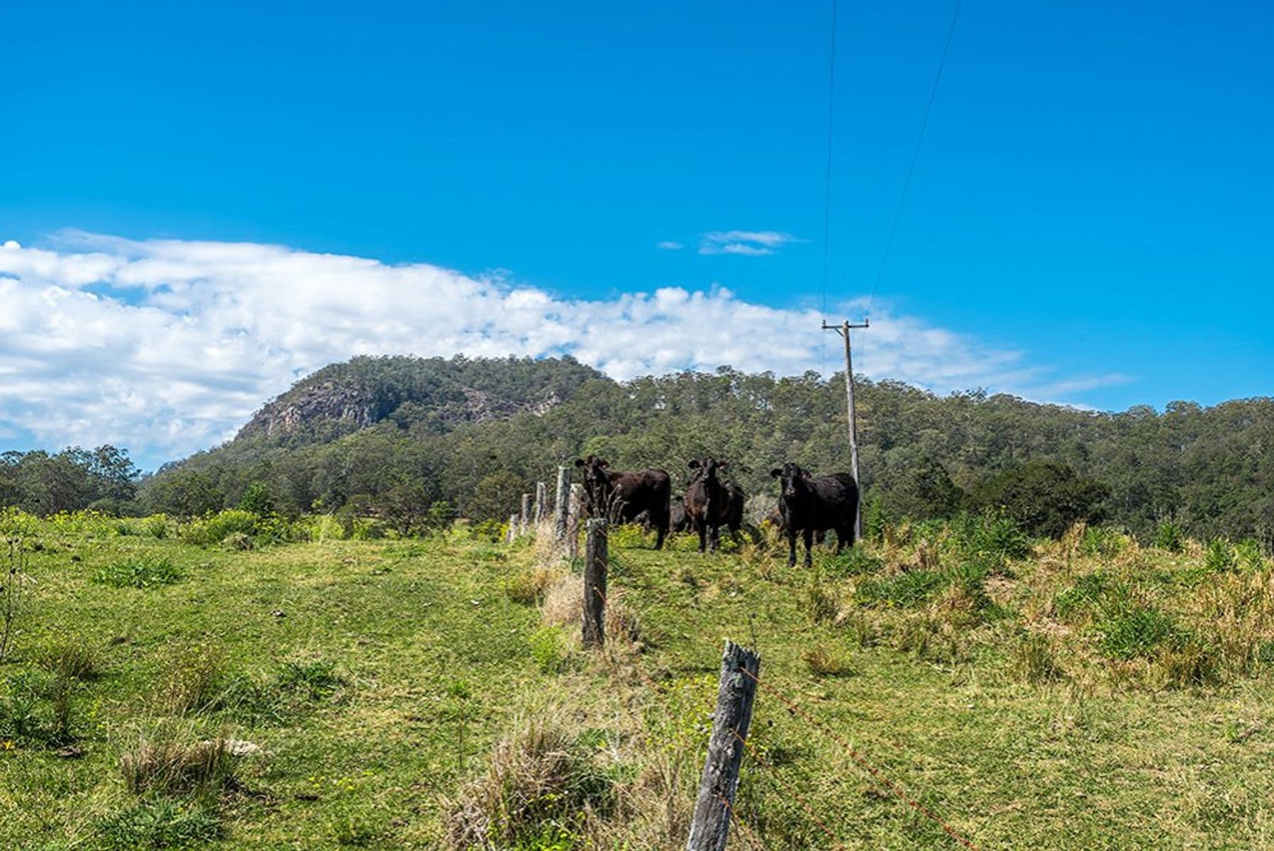 85 EJ Olley Road, Larnook - Thumbnail 8