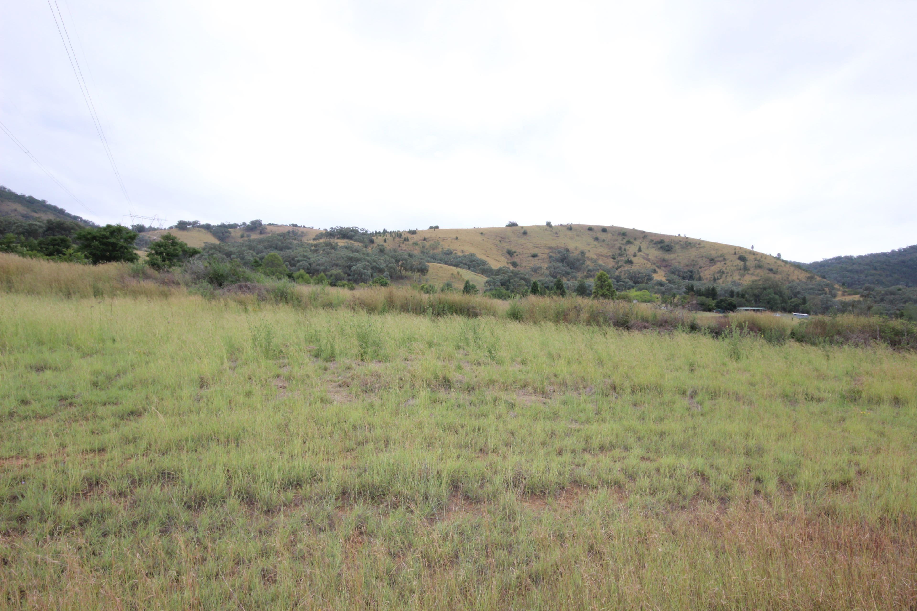 Lot 29 Bagenmar Road, Tamworth NSW 2340, Tamworth - Image 1