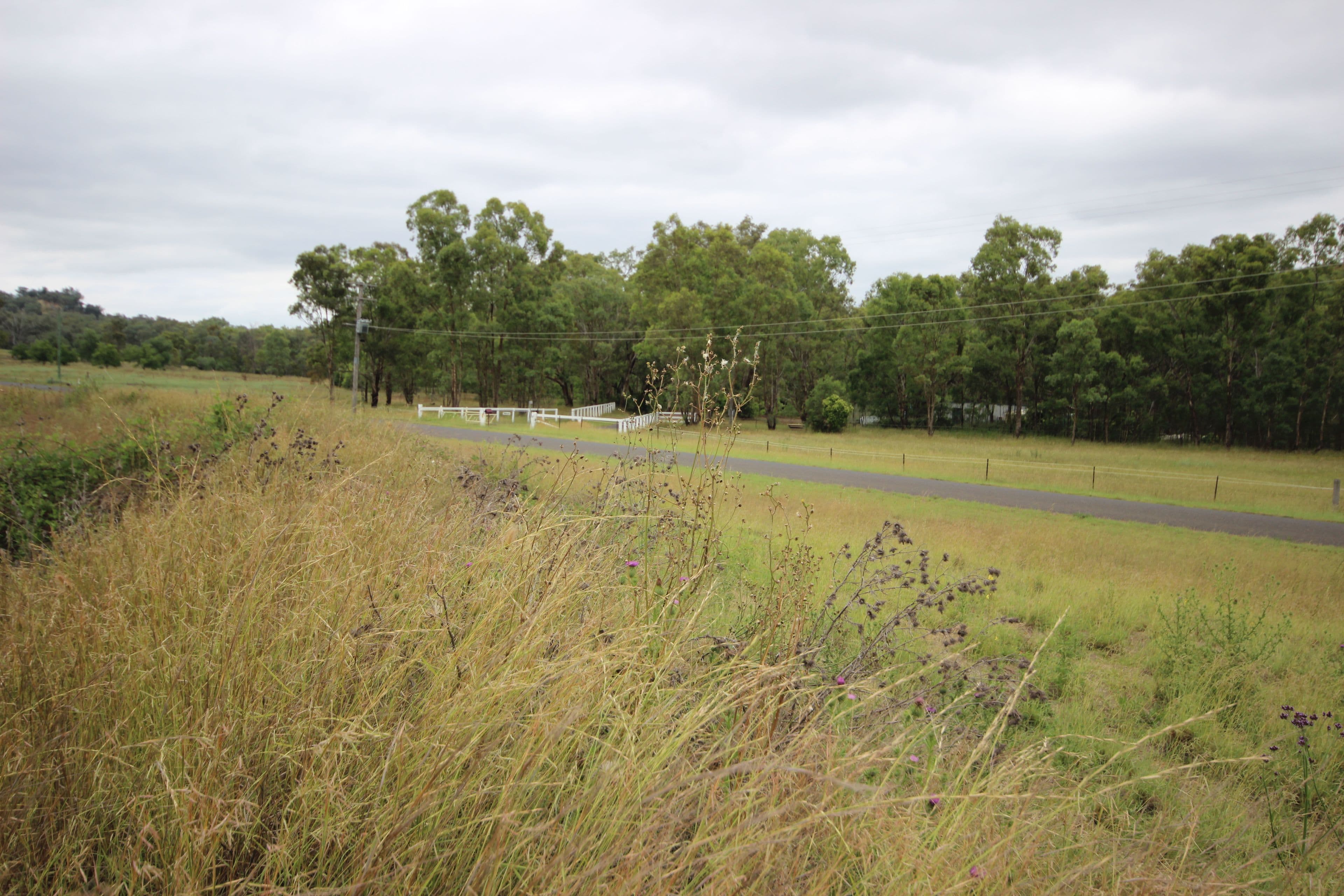 Lot 29 Bagenmar Road, Tamworth NSW 2340, Tamworth - Thumbnail 2