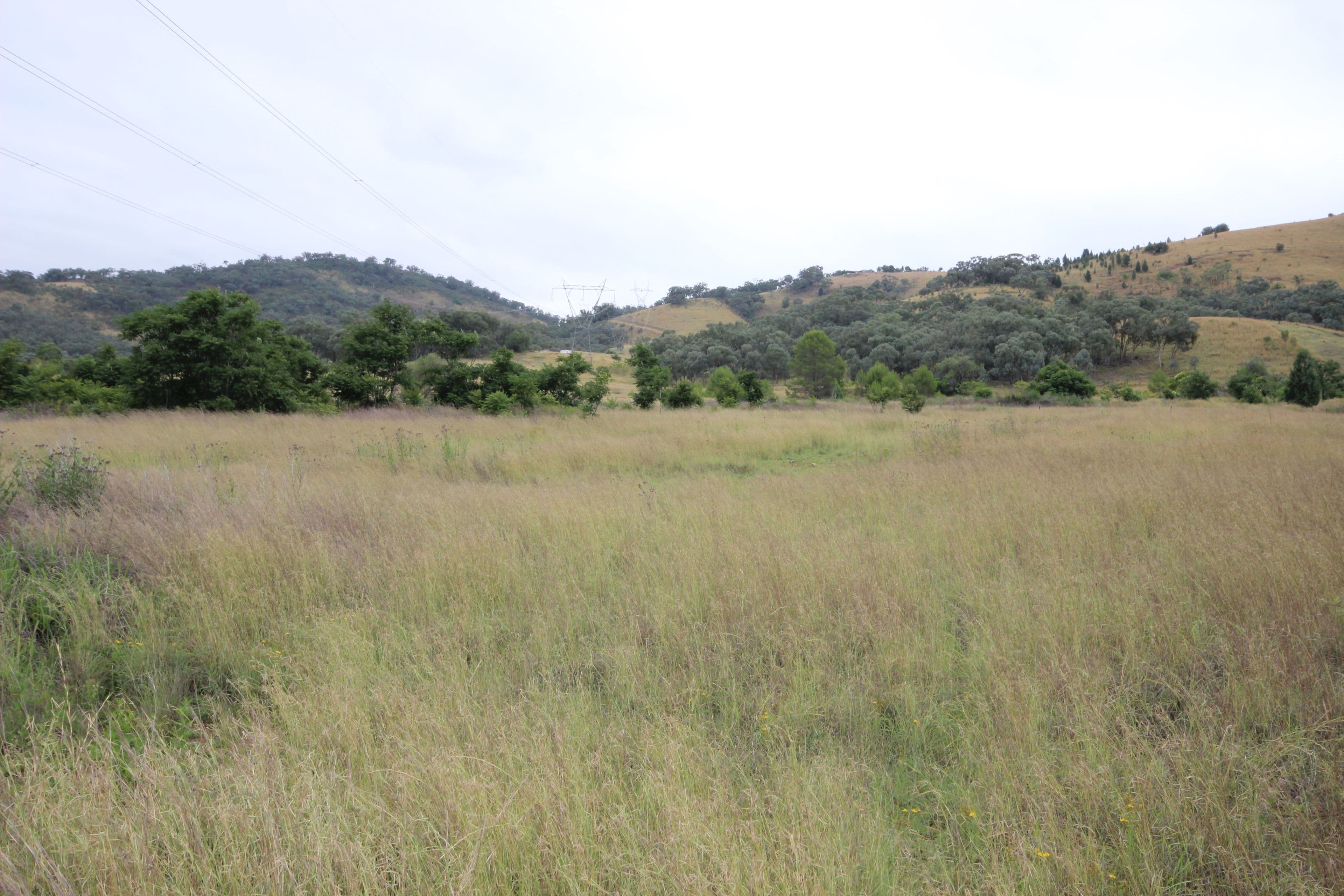 Lot 29 Bagenmar Road, Tamworth NSW 2340, Tamworth - Thumbnail 4