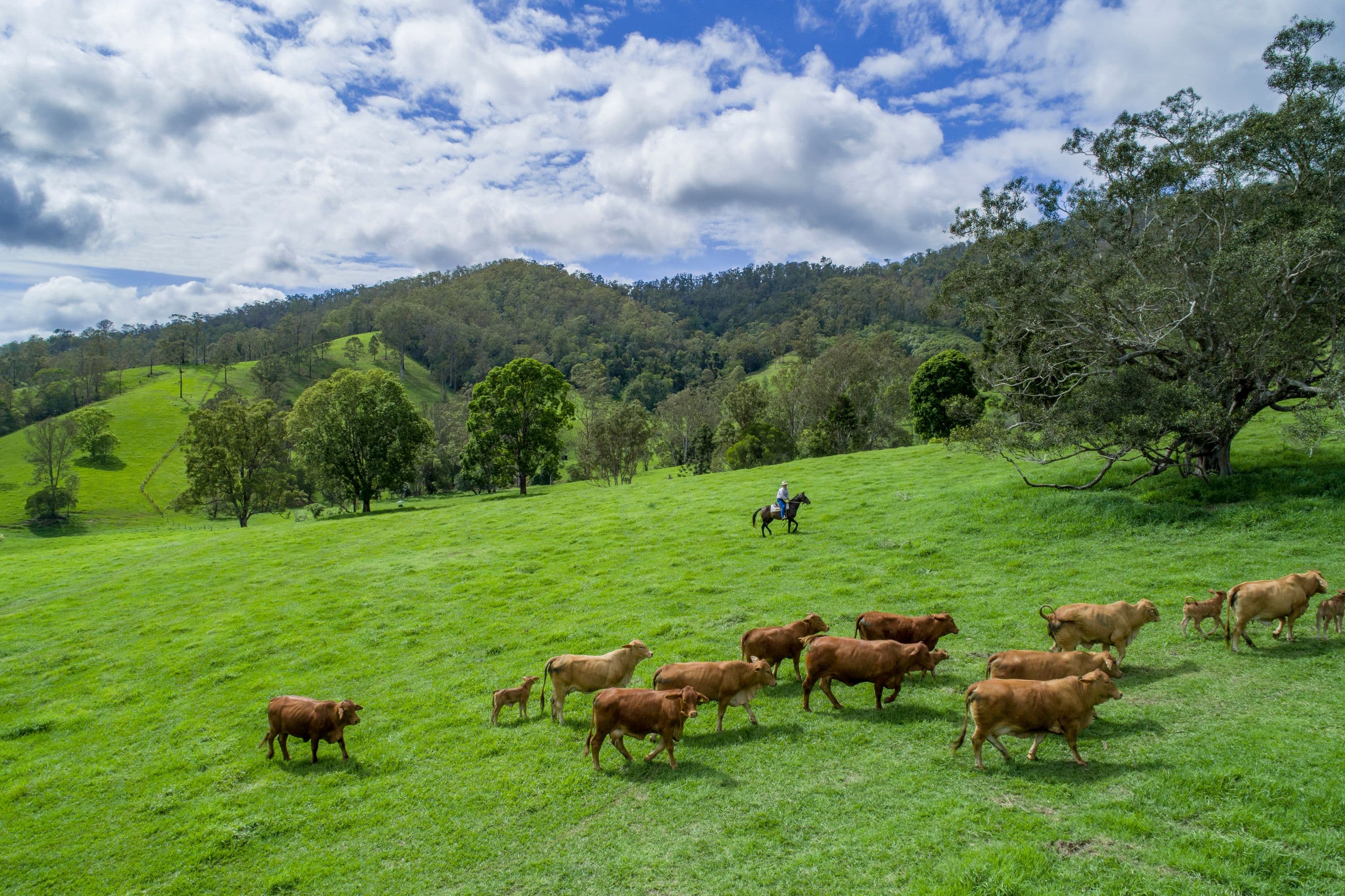 Cambroon QLD 4552, Cambroon - Thumbnail 2