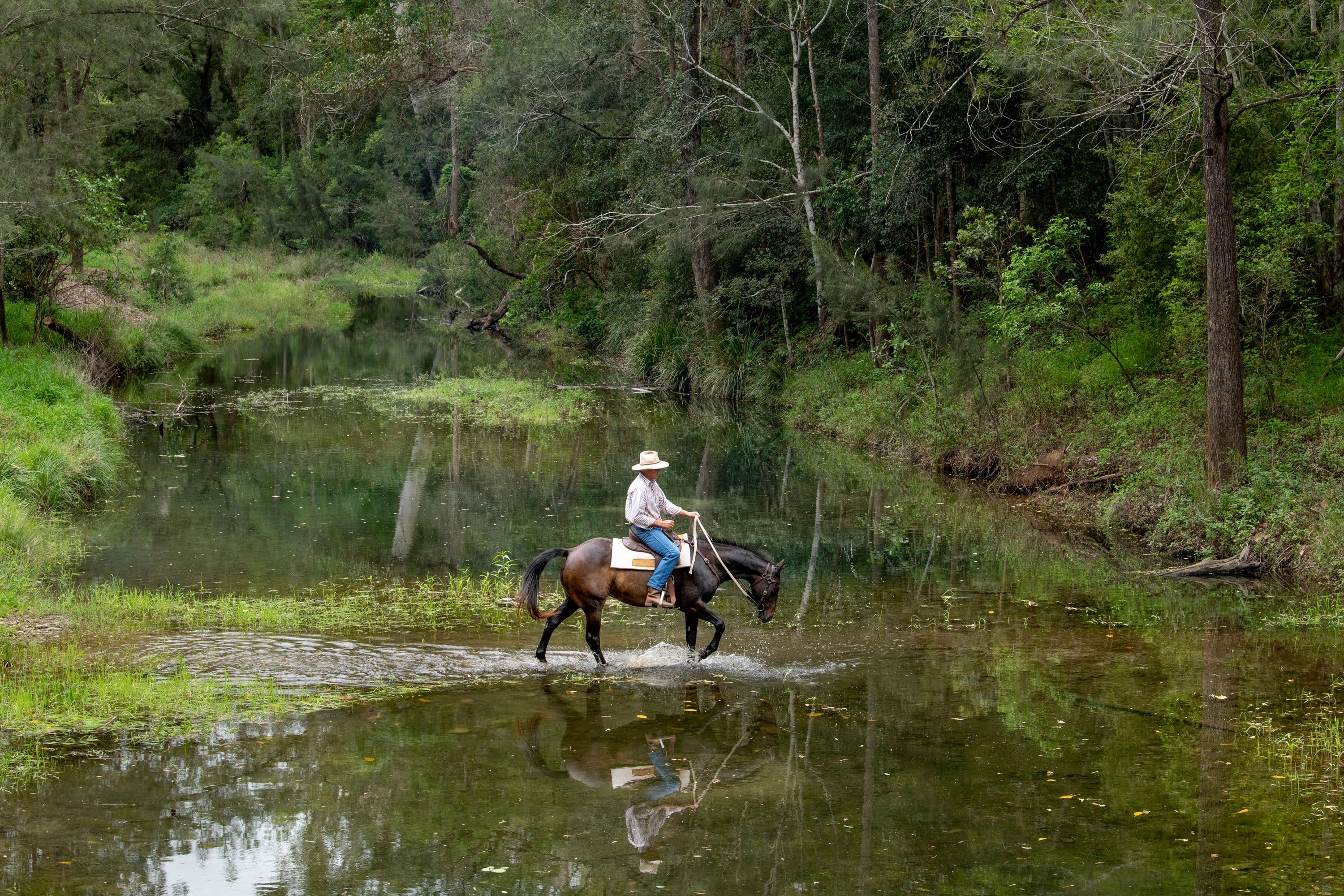 Cambroon QLD 4552, Cambroon - Thumbnail 5