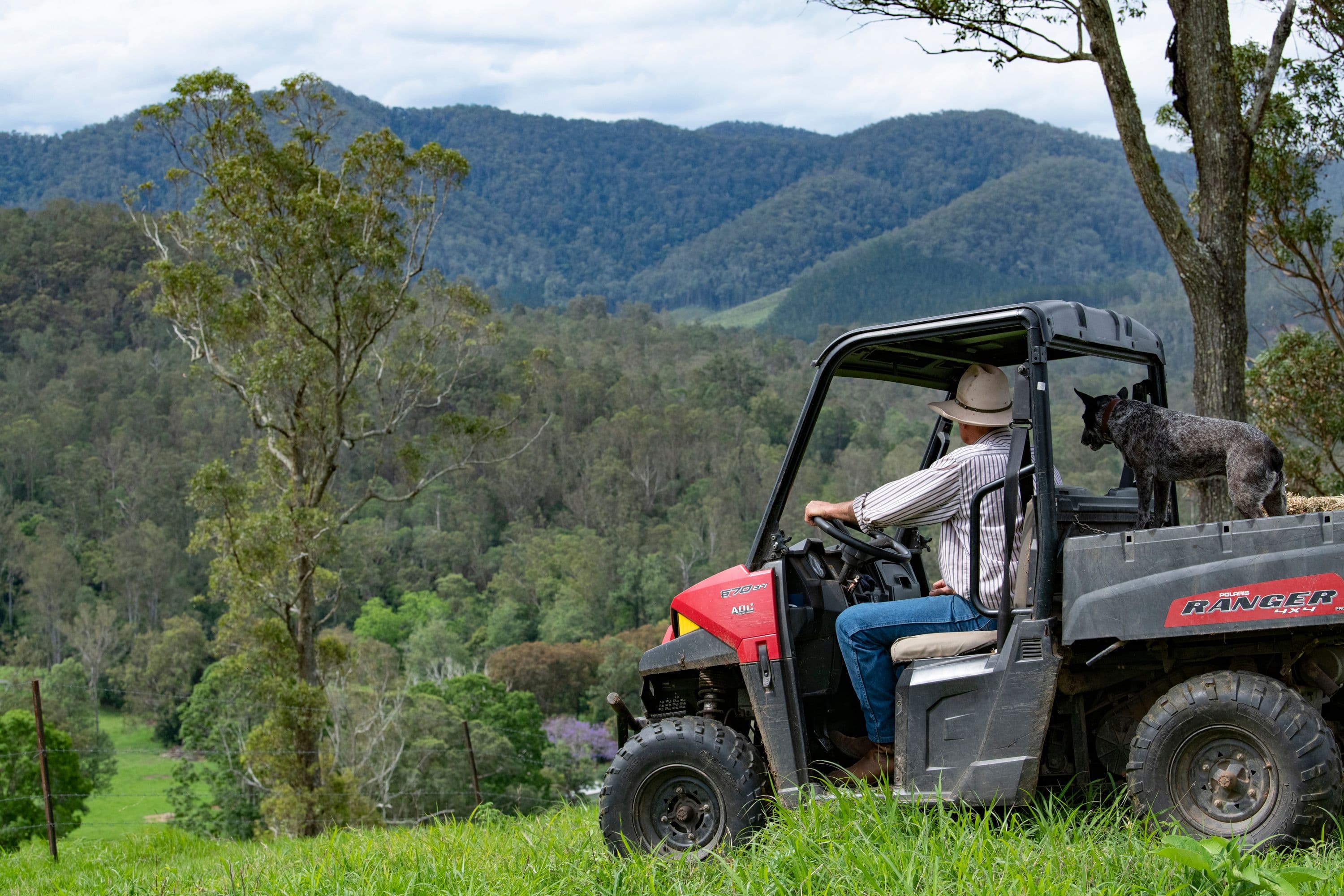Cambroon QLD 4552, Cambroon - Thumbnail 6