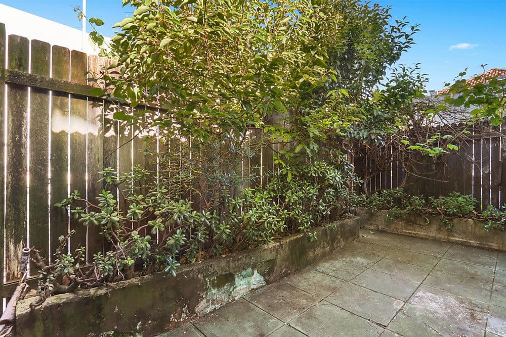 3 Weedon Avenue, Paddington NSW 2021, Paddington - Thumbnail 3