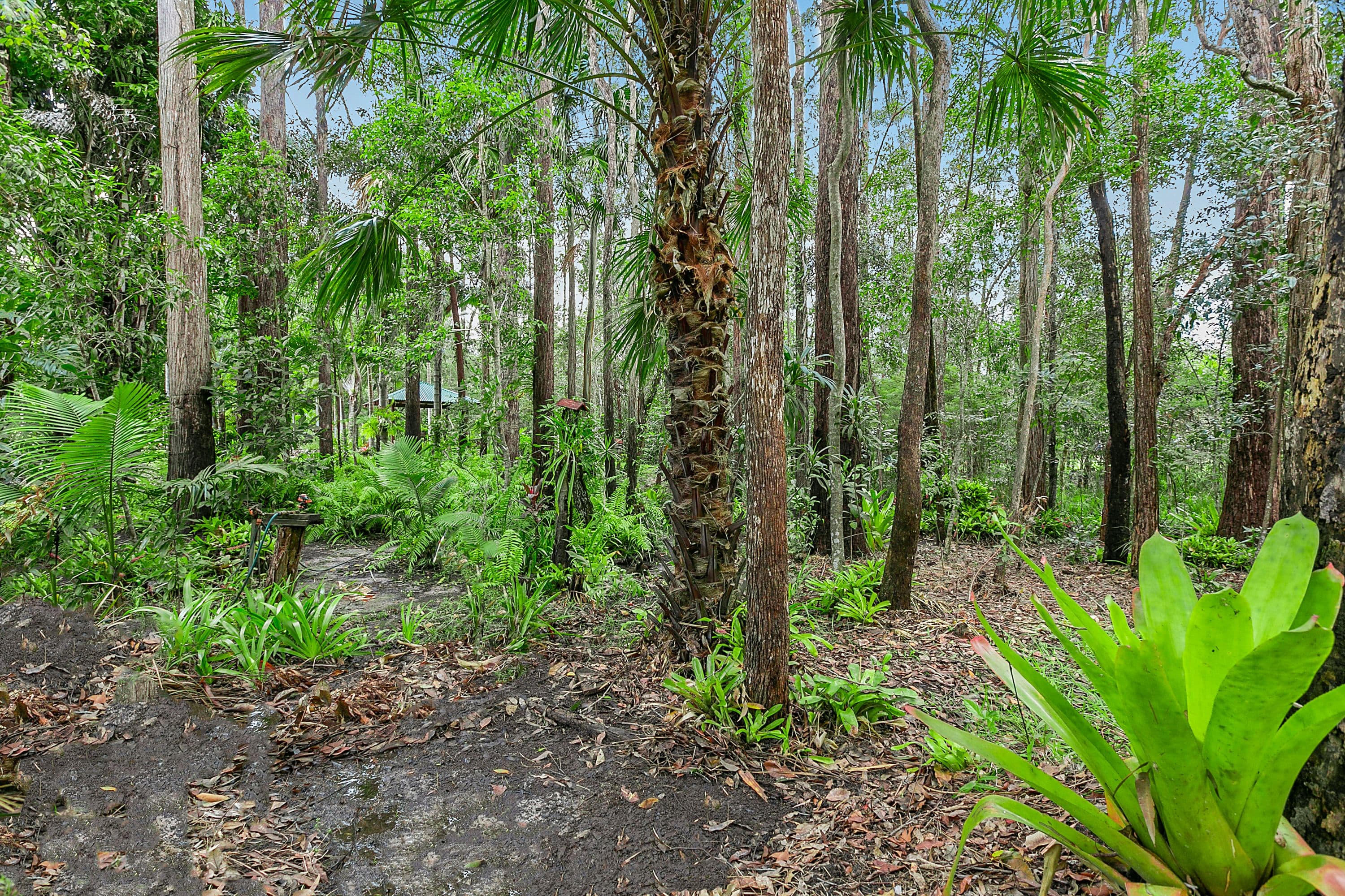 237 Forest Acres Drive, Lake Macdonald QLD 4563, Lake Macdonald - Thumbnail 8
