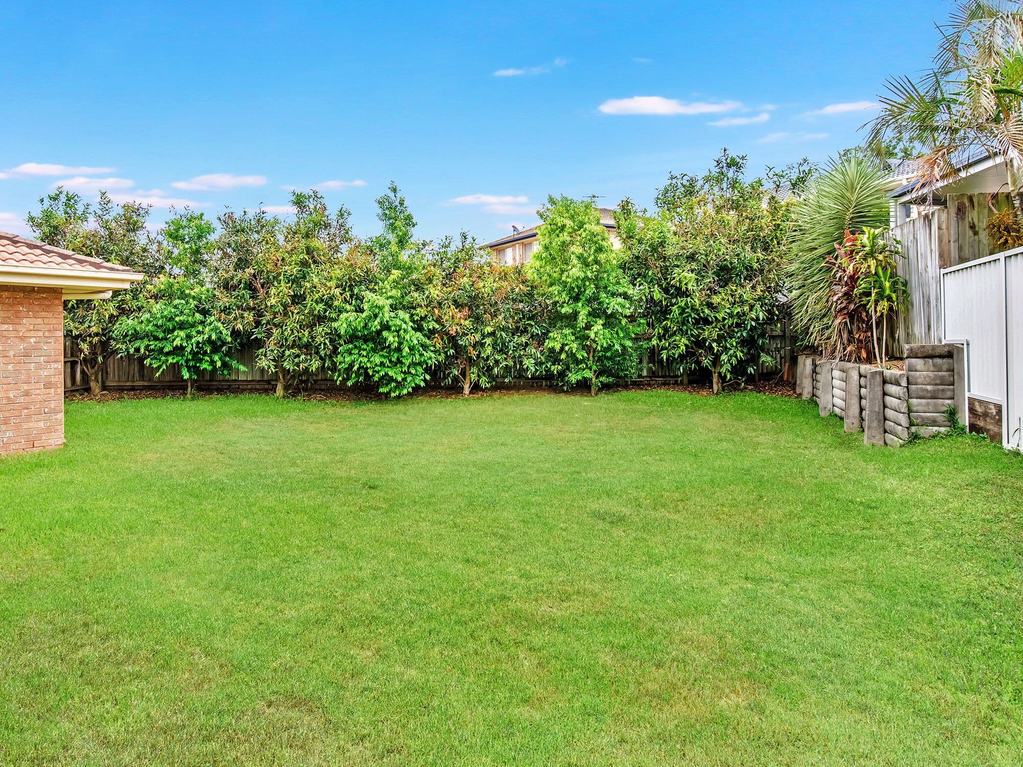 17 Daniells Court, Ormeau QLD 4208, Ormeau - Thumbnail 3