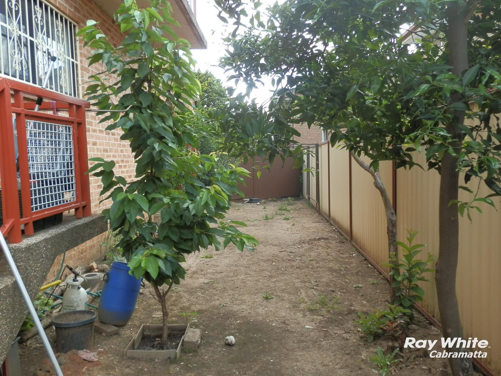 10 Kurrajong Street, Cabramatta NSW 2166, Cabramatta - Thumbnail 5