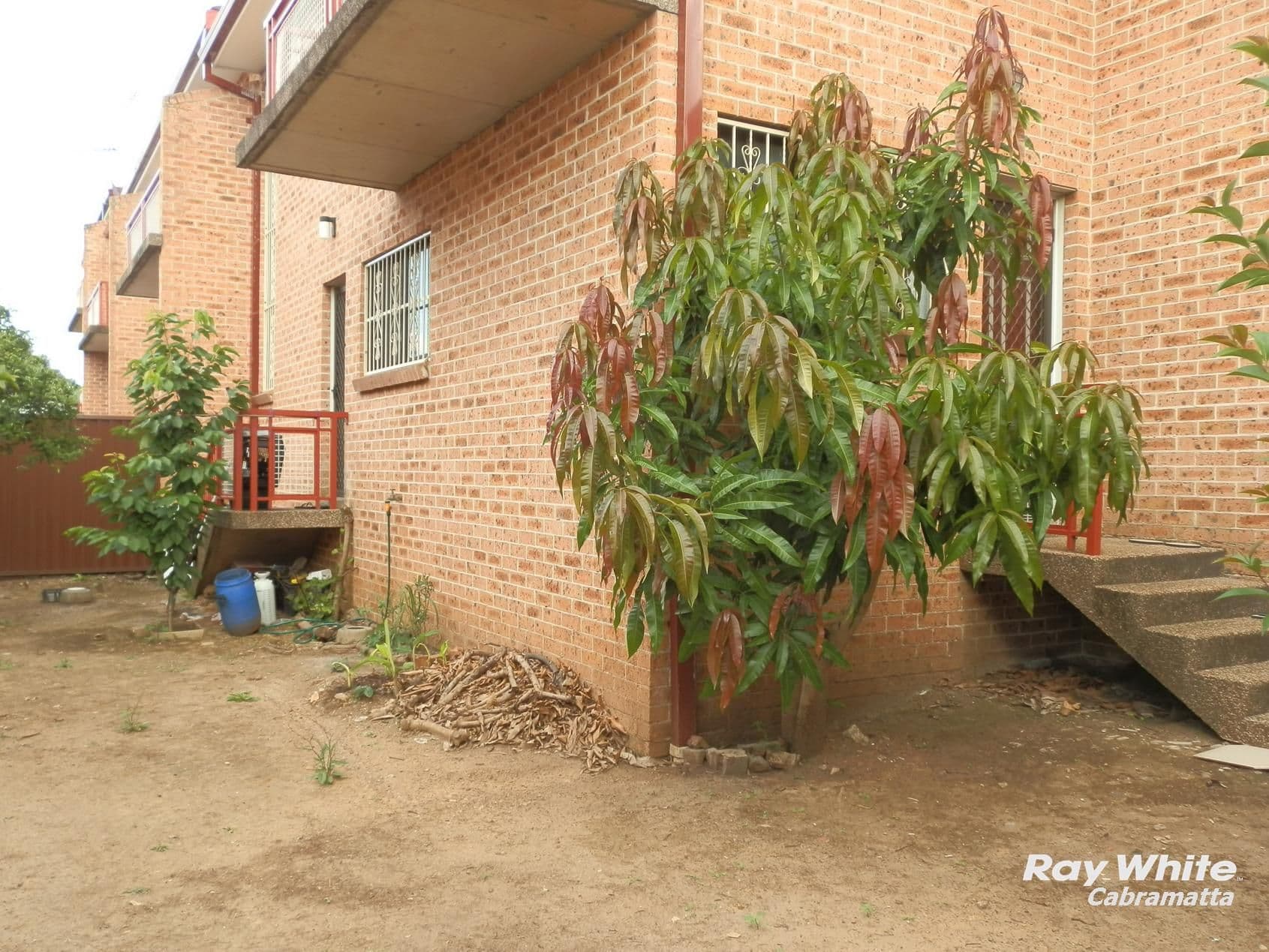 10 Kurrajong Street, Cabramatta NSW 2166, Cabramatta - Thumbnail 6