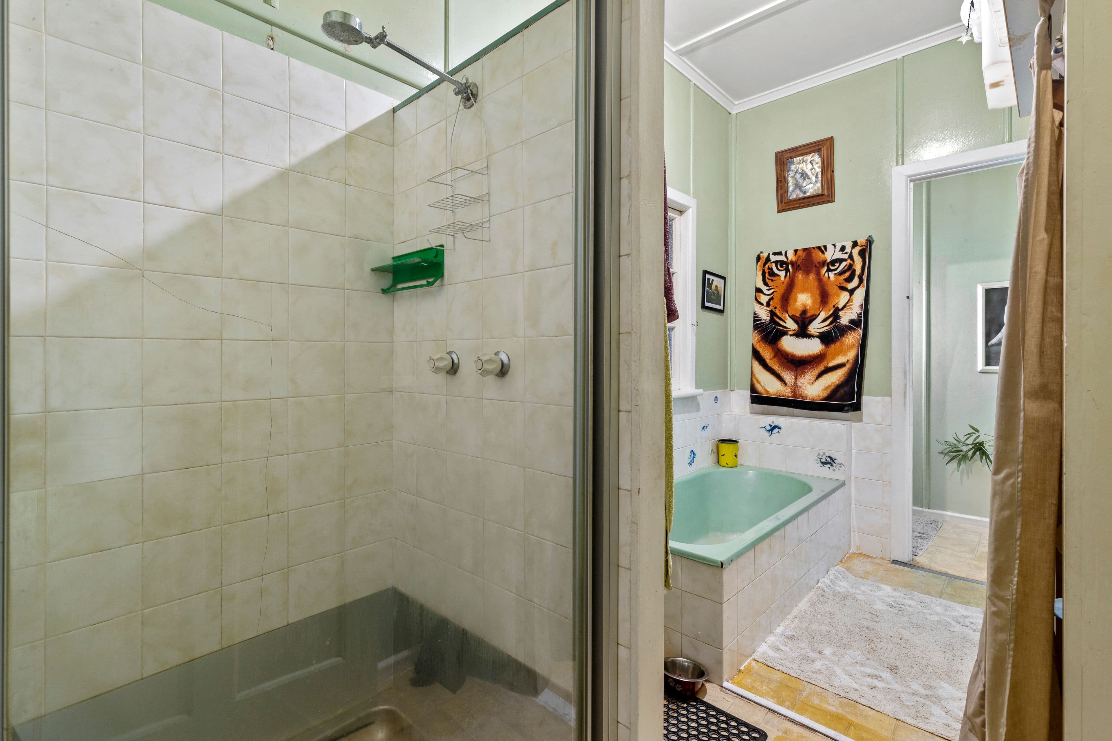 45 Taylor Avenue, Golden Beach QLD 4551, Golden Beach - Thumbnail 6