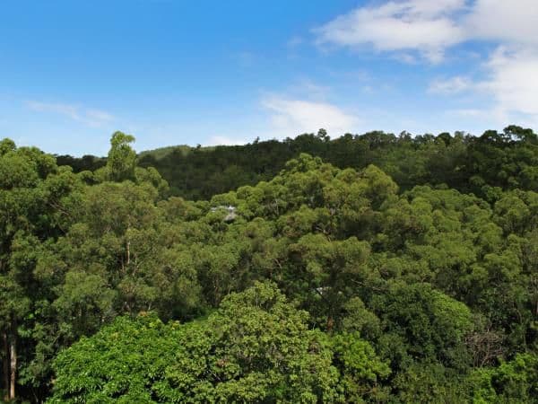 Lot 4 of 21 Vista Street, BARDON QLD 4065, Bardon - Thumbnail 5