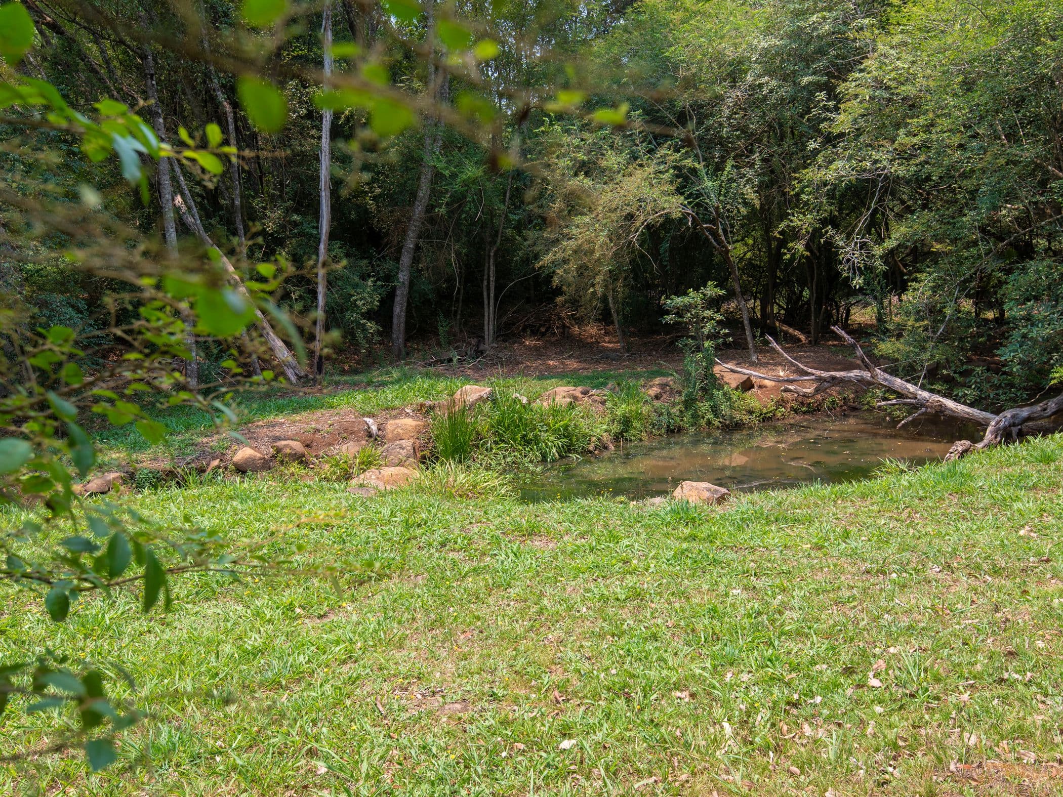92 Taylor Road, Chilcotts Grass - Thumbnail 5