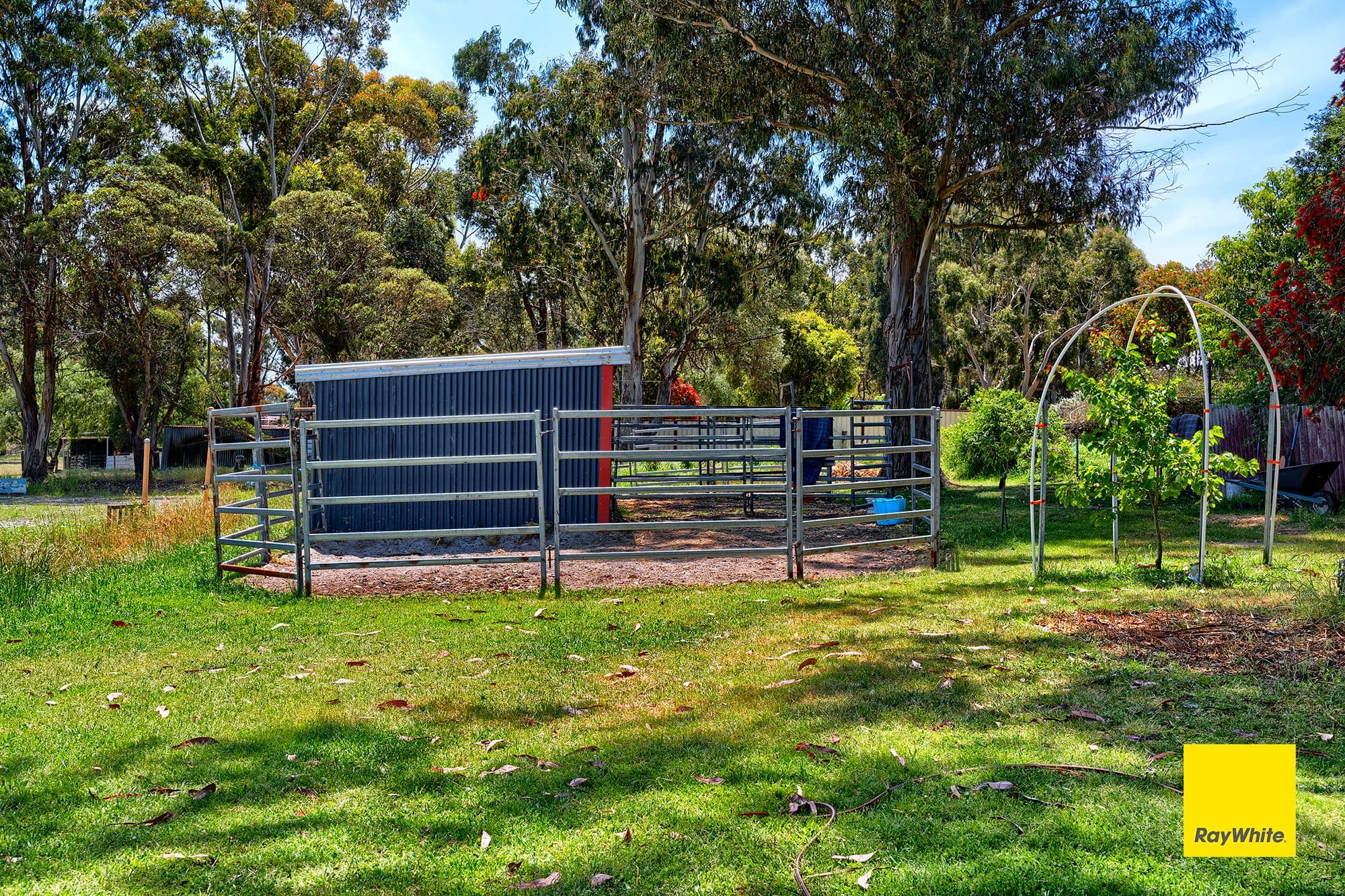 131 Hassell Street, Mount Barker WA 6324, Mount Barker - Thumbnail 4