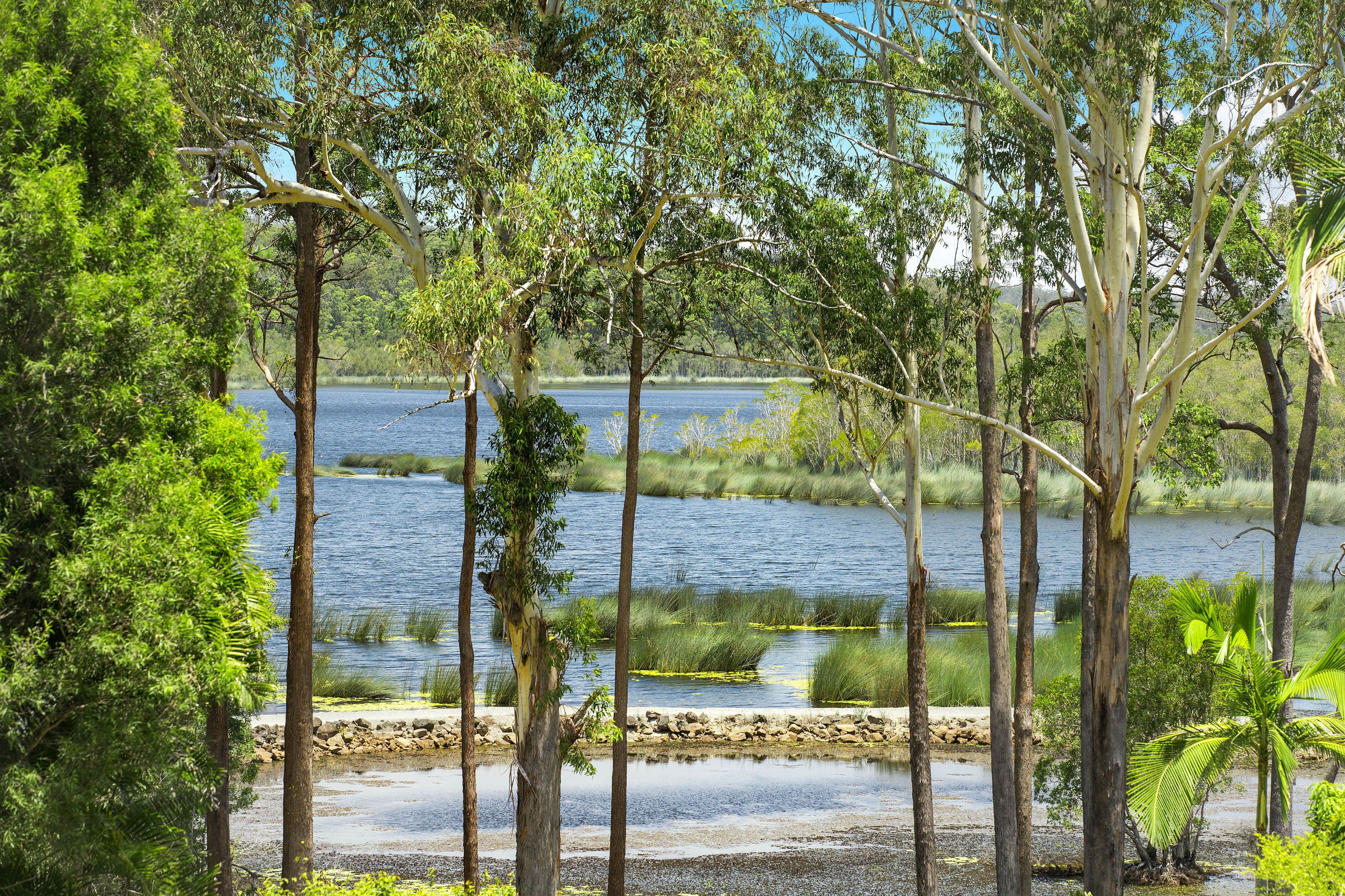 319 Connection Road, Mooloolah Valley QLD 4553, Mooloolah Valley - Thumbnail 4
