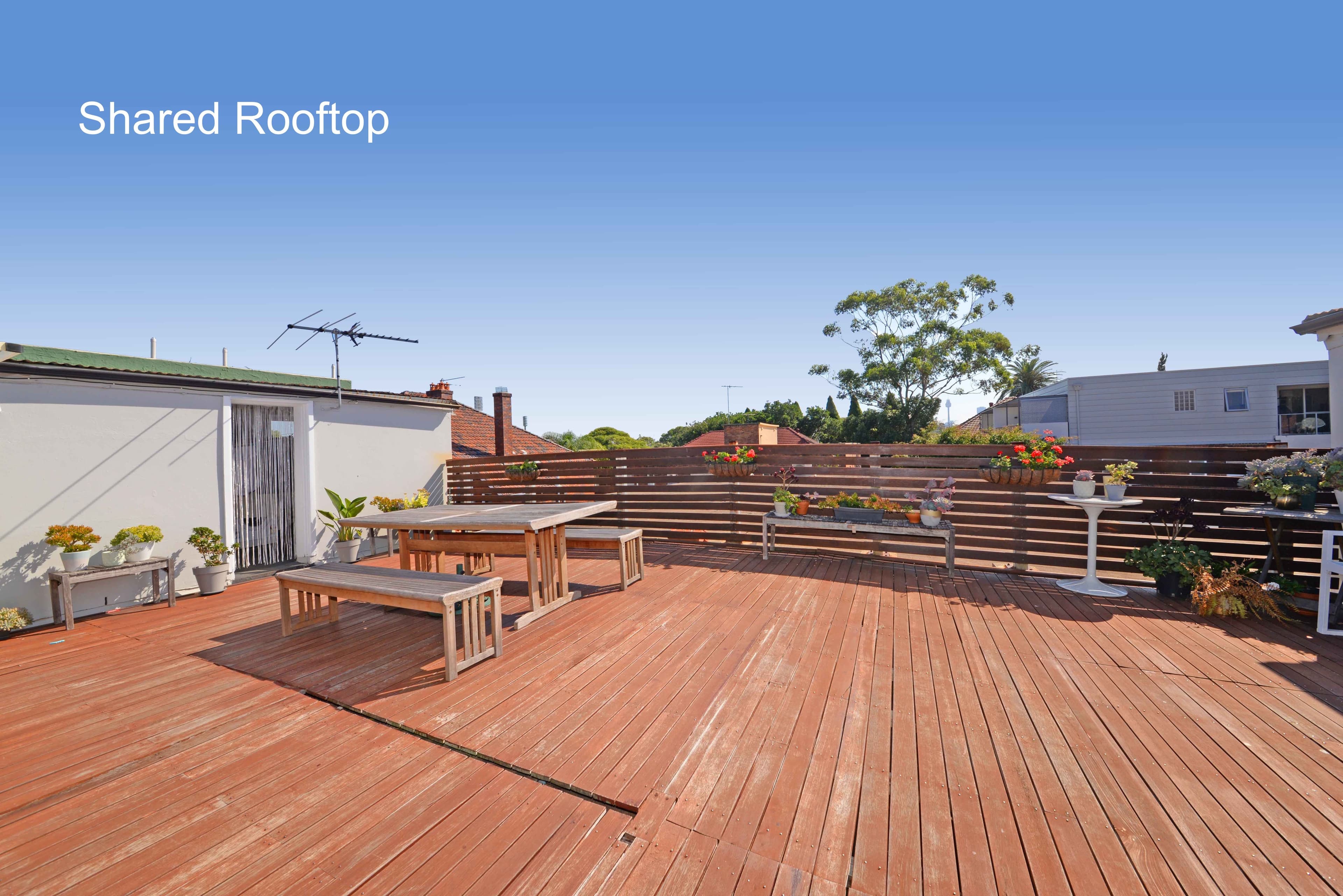 22 Furber Road, Centennial Park NSW 2021, Centennial Park - Thumbnail 8